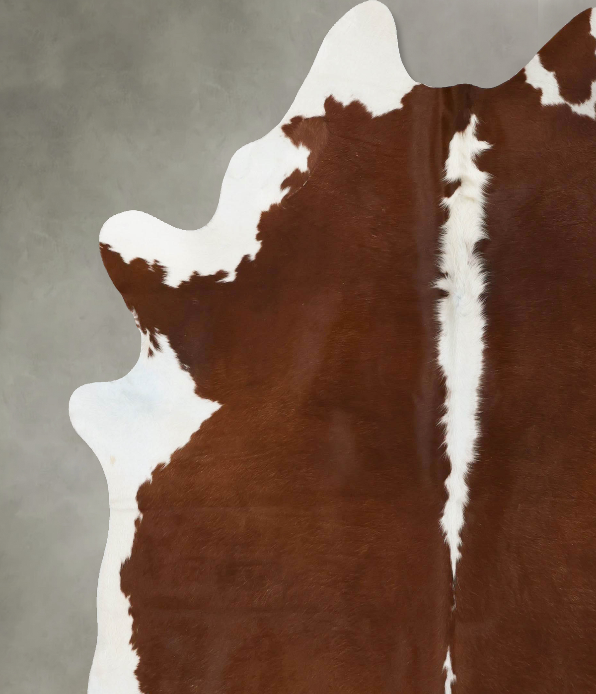 Hereford XX-Large Brazilian Cowhide Rug 8'7"H x 7'3"W #B24032 by Hudson Hides