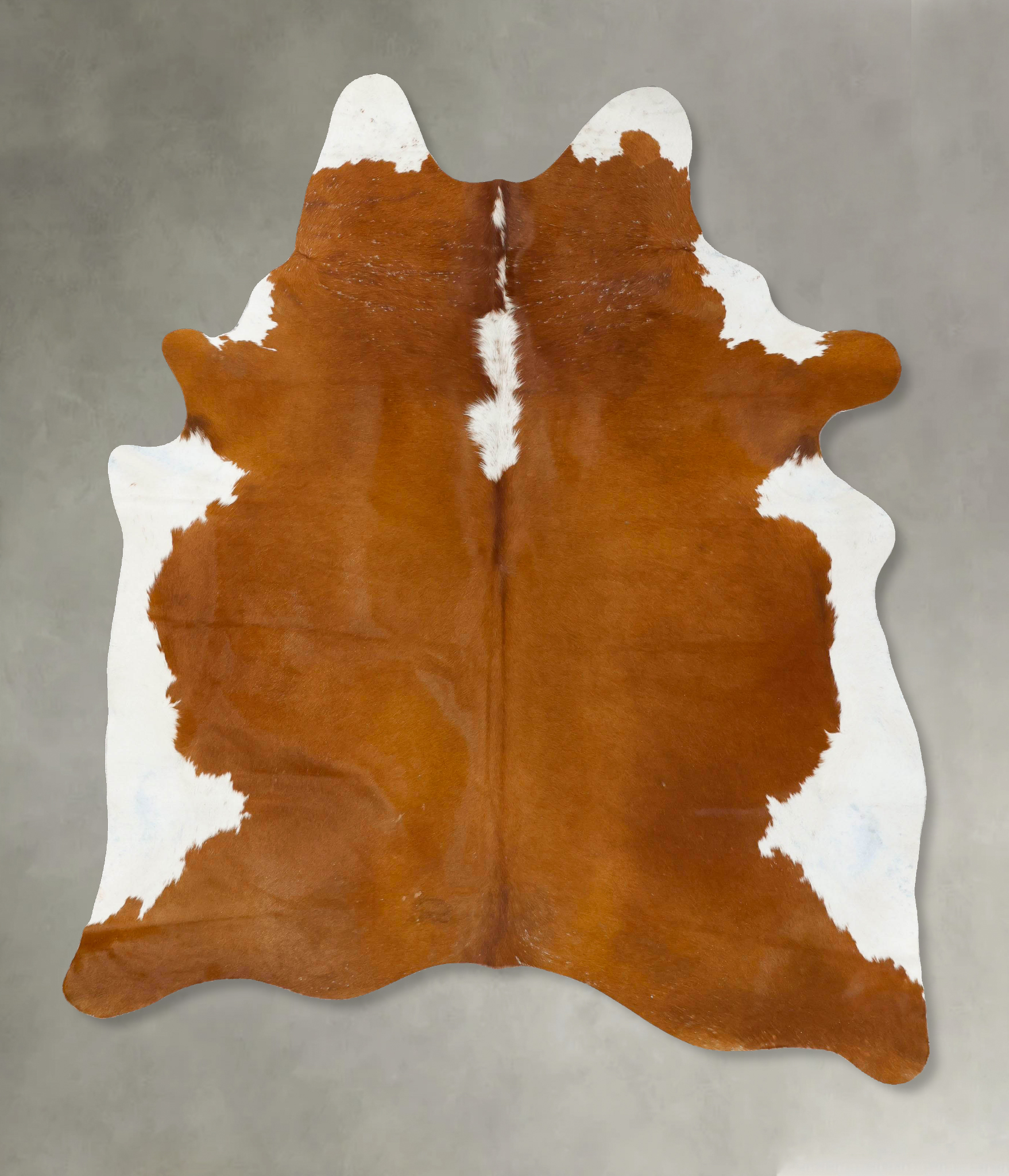 Brown and White Regular Cowhide Rug #B24038