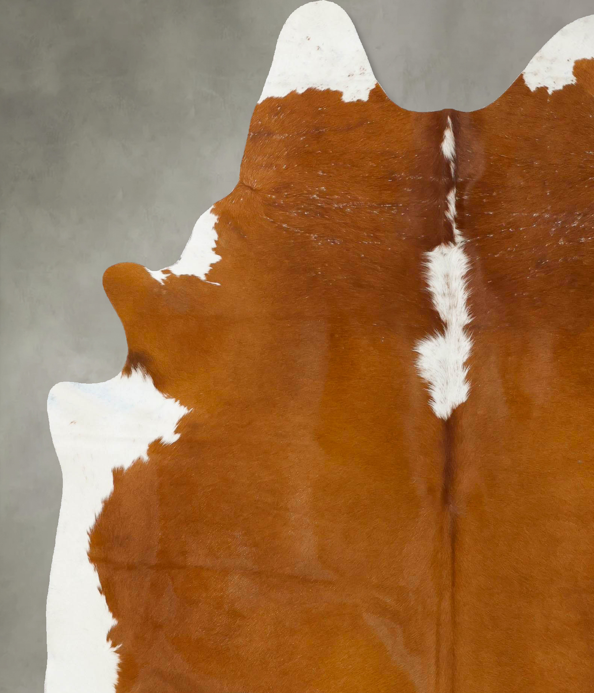 Brown and White Regular X-Large Brazilian Cowhide Rug 7'10"H x 6'2"W #B24038 by Hudson Hides