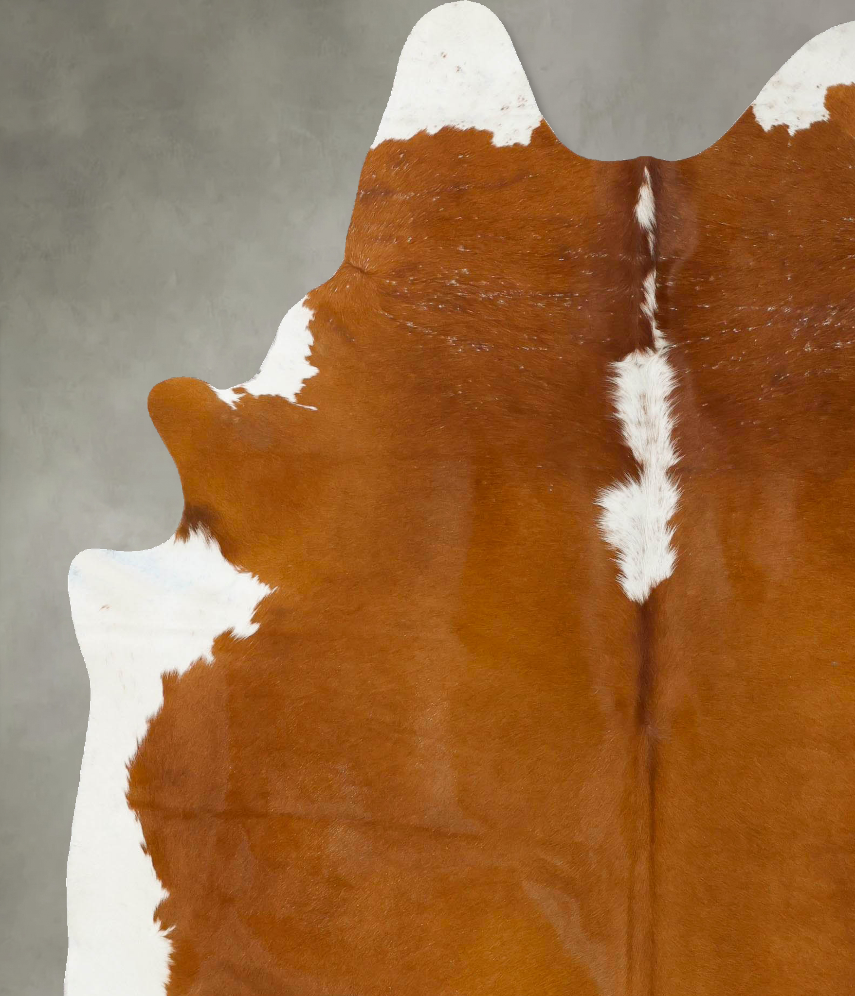Brown and White Regular Cowhide Rug #B24038
