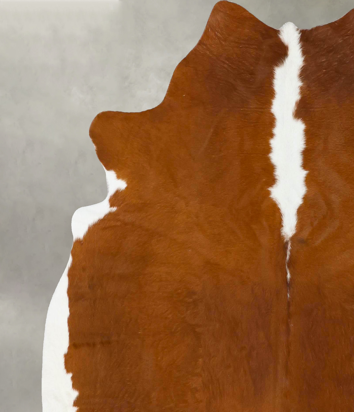 Hereford X-Large Brazilian Cowhide Rug 6'5"H x 6'4"W #B24041 by Hudson Hides