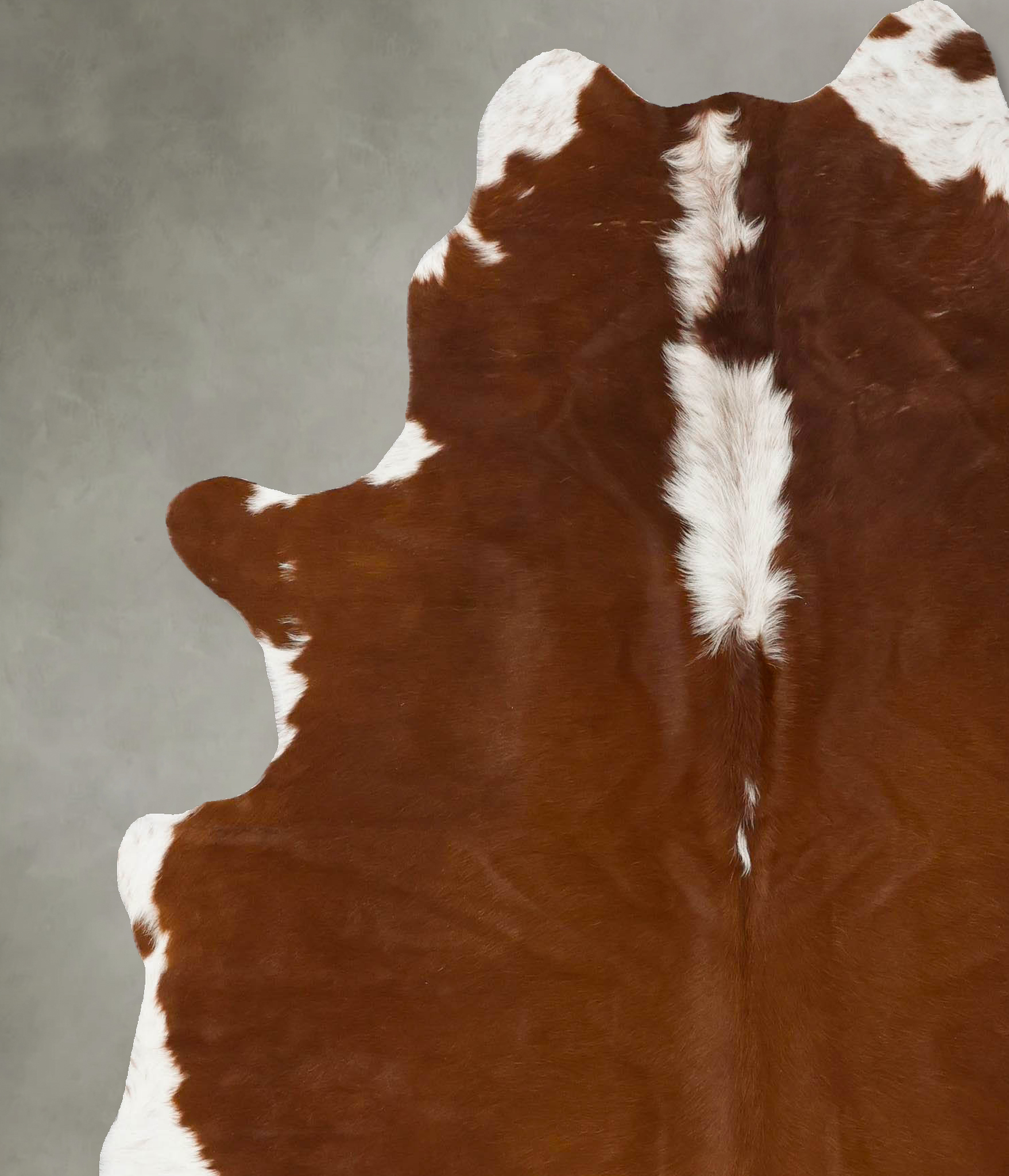 Hereford Cowhide Rug #B24042