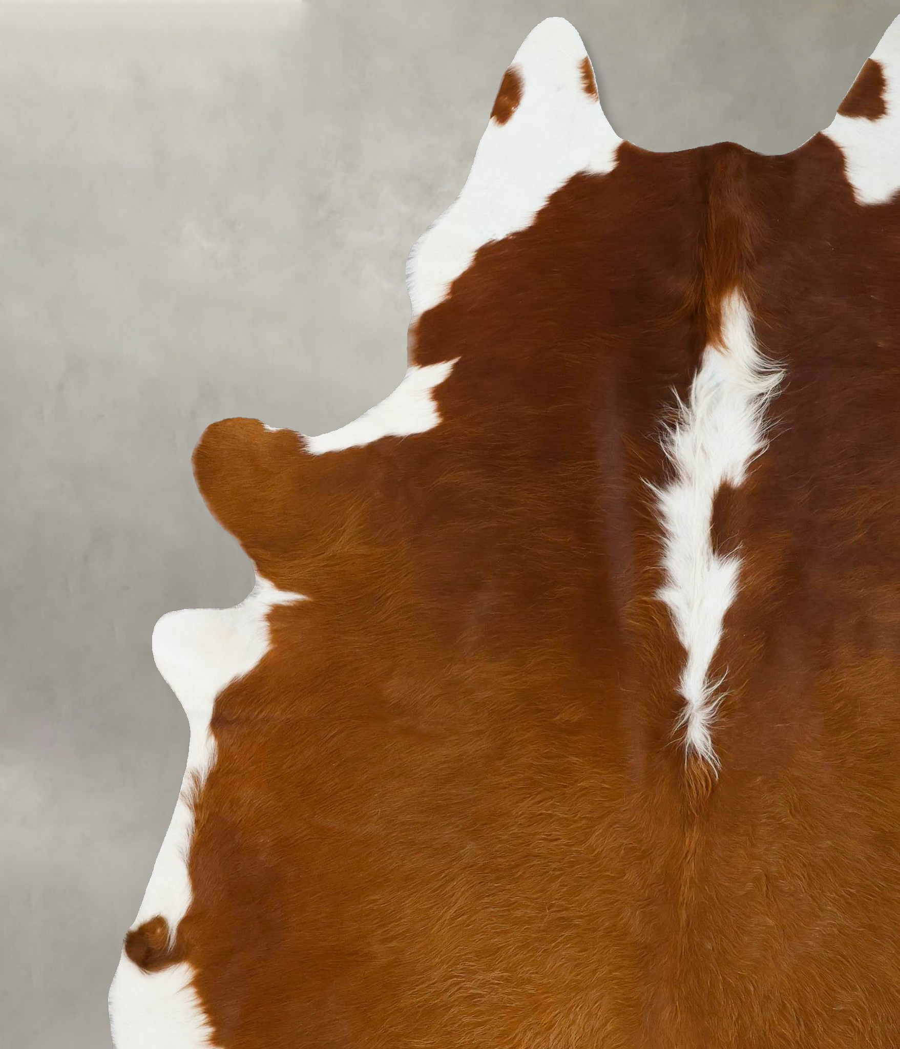Hereford Cowhide Rug #B24045