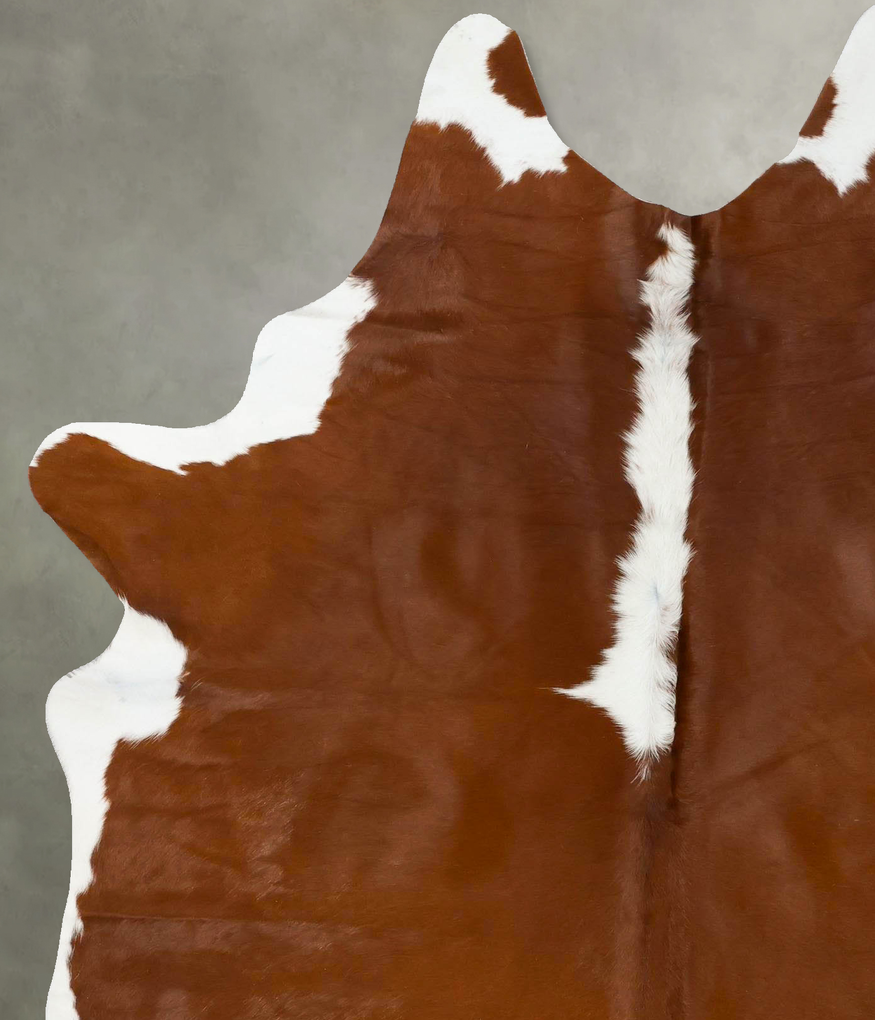 Hereford Cowhide Rug #B24046