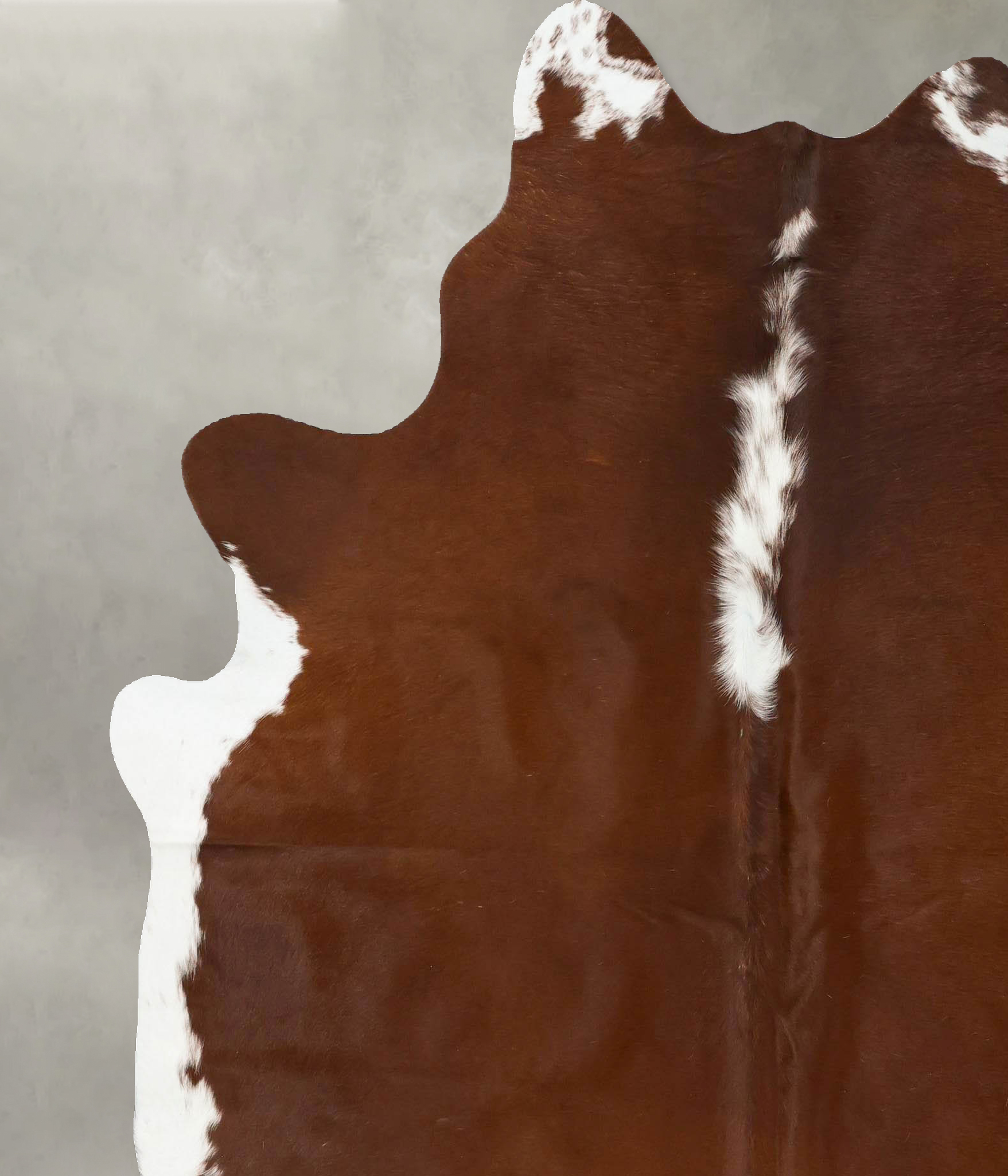 Hereford Cowhide Rug #B24053