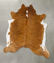 Medium Brindle X-Large Brazilian Cowhide Rug 6'8"H x 6'5"W #B24054 by Hudson Hides