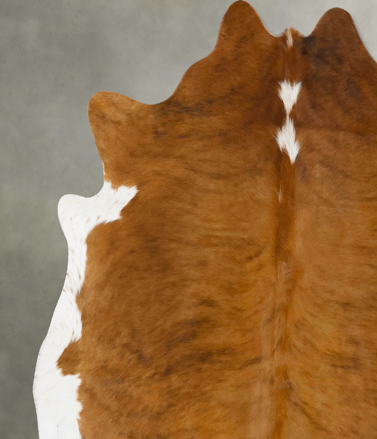 Medium Brindle X-Large Brazilian Cowhide Rug 6'8"H x 6'5"W #B24054 by Hudson Hides