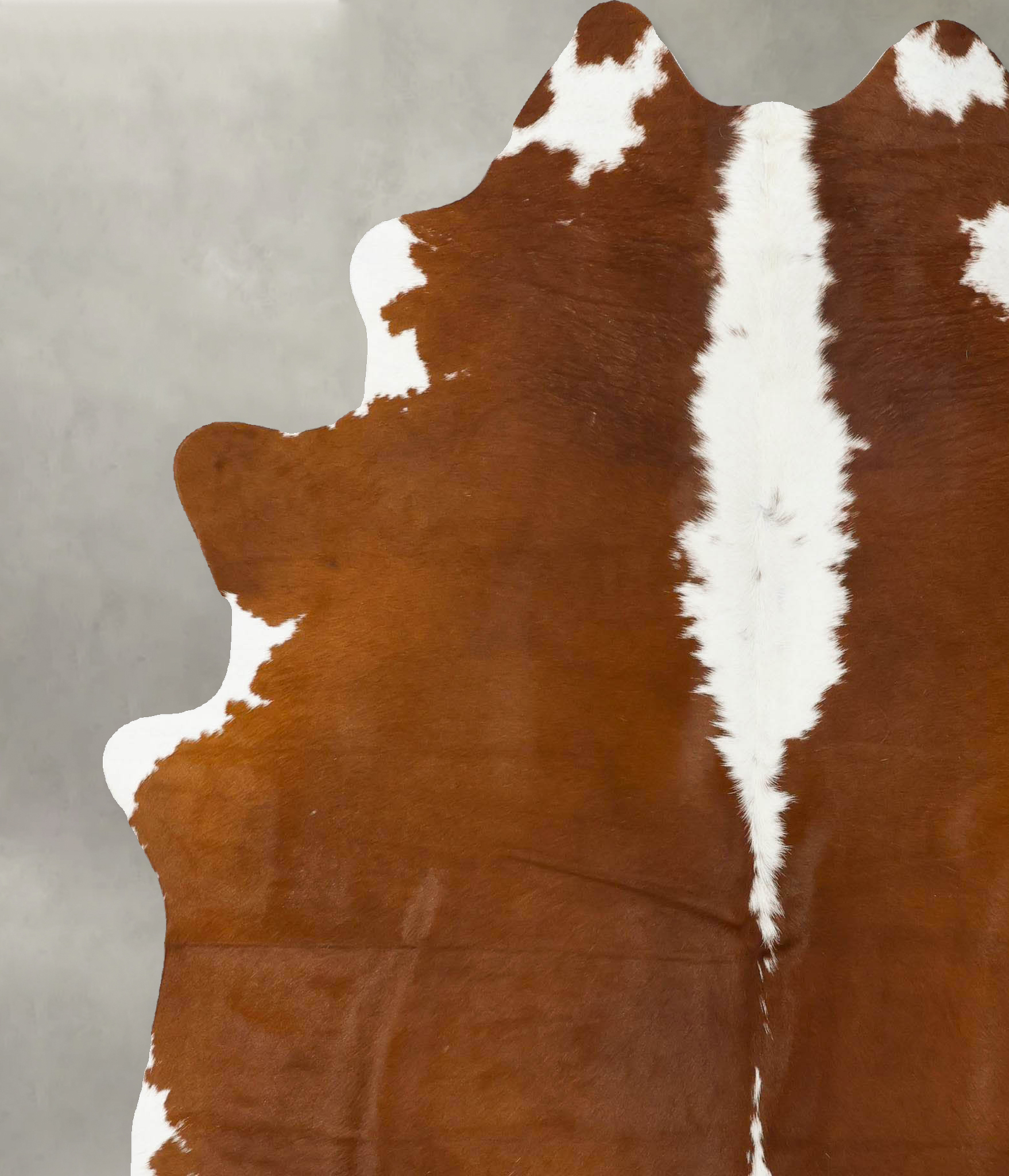 Hereford Cowhide Rug #B24055