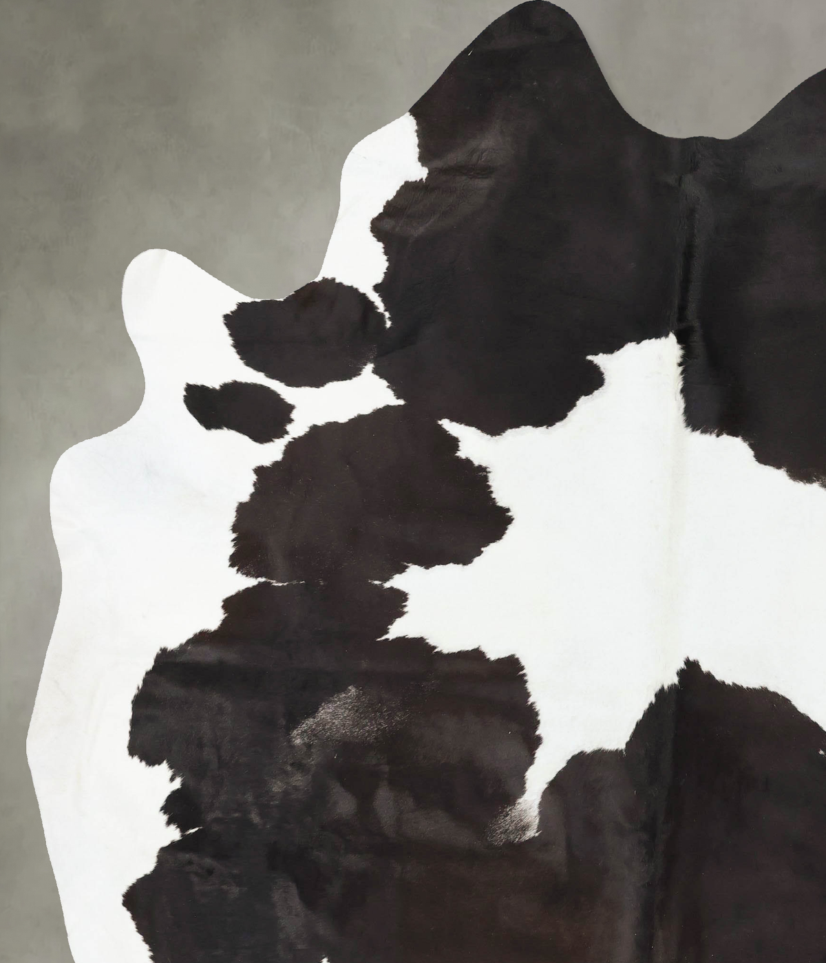 Chocolate and White XX-Large Brazilian Cowhide Rug 8'7"H x 6'9"W #B24060 by Hudson Hides