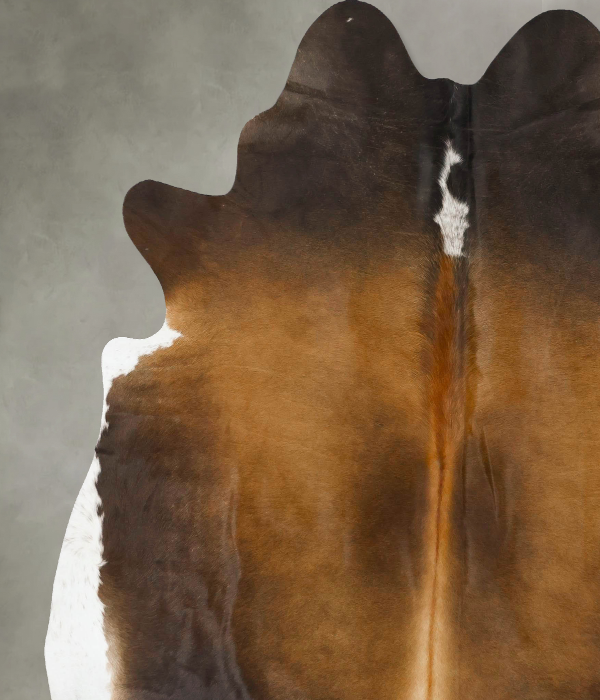 Chocolate and White Cowhide Rug #B24071
