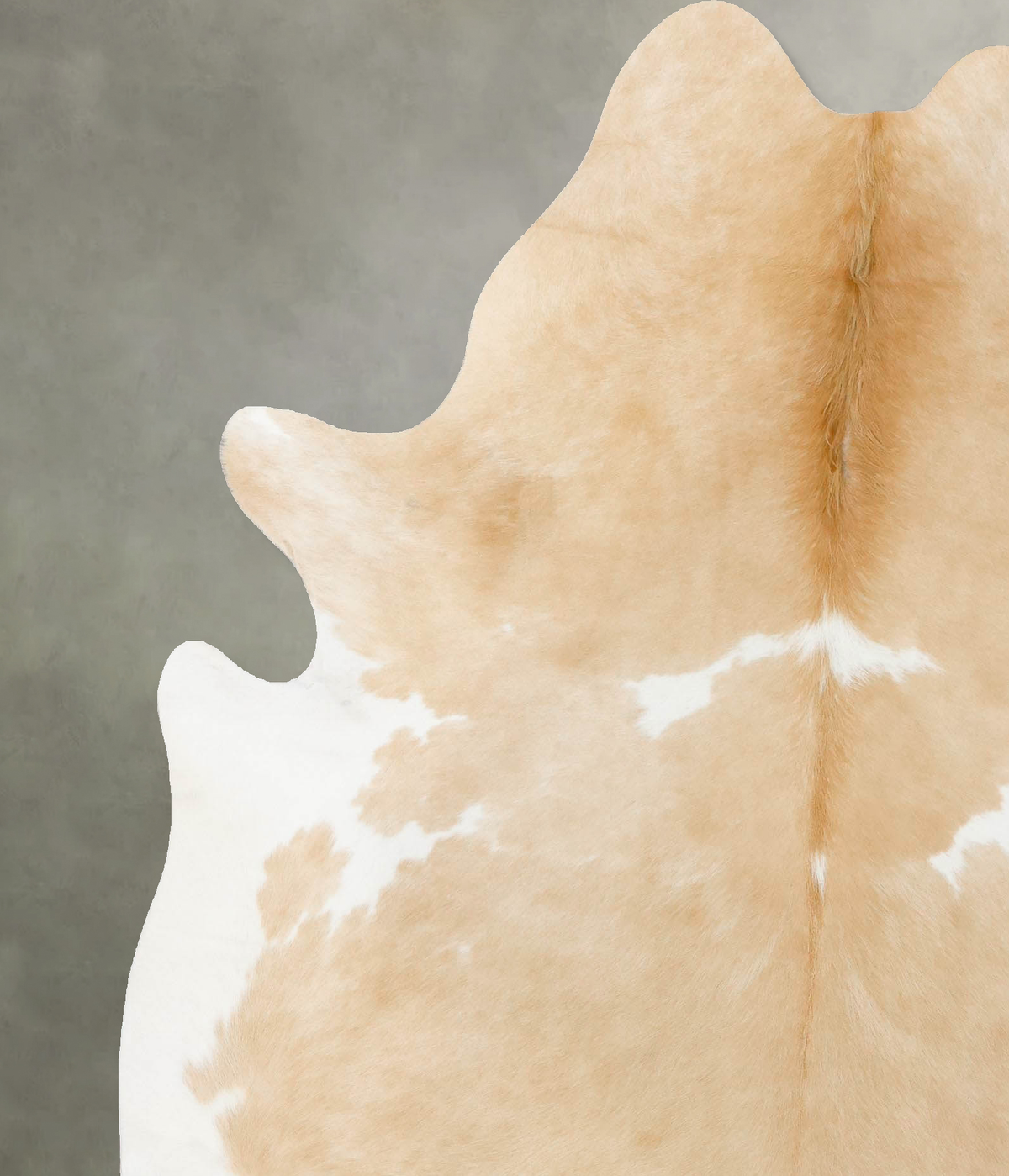 Beige and White X-Large Brazilian Cowhide Rug 7'2"H x 6'3"W #B24076 by Hudson Hides