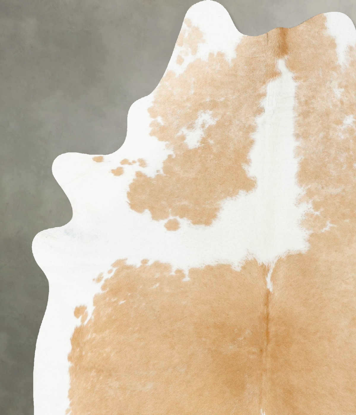 Beige and White X-Large Brazilian Cowhide Rug 7'3"H x 5'11"W #B24078 by Hudson Hides
