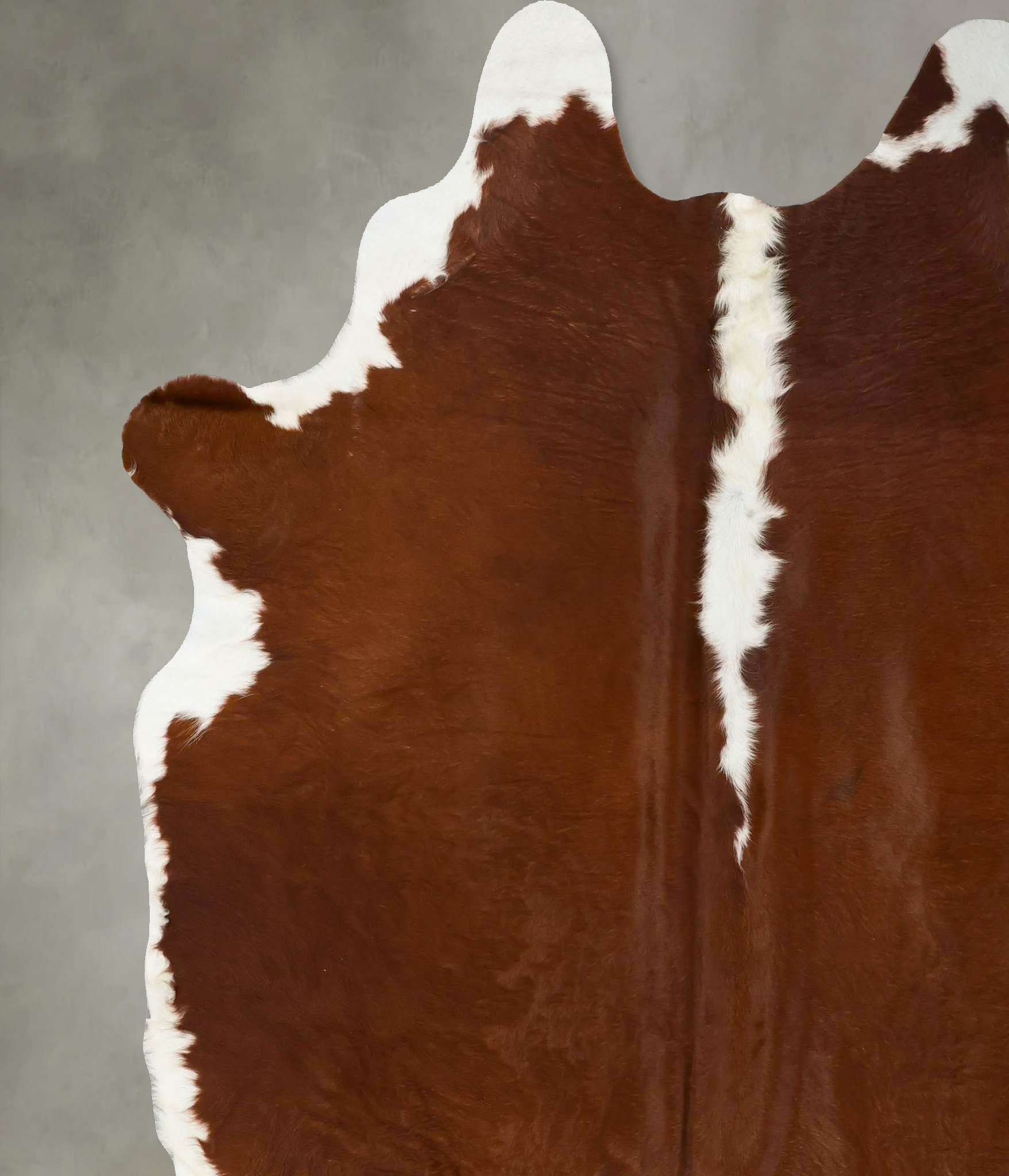 Hereford Cowhide Rug #B24082