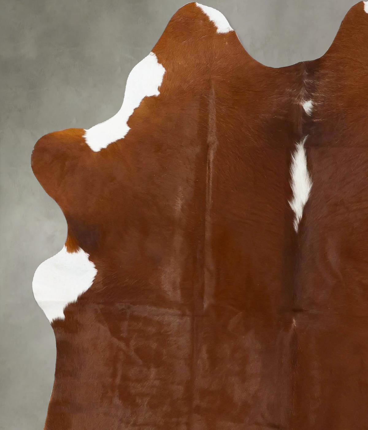 Brown and White Regular Large Brazilian Cowhide Rug 6'2"H x 5'4"W #B24093 by Hudson Hides