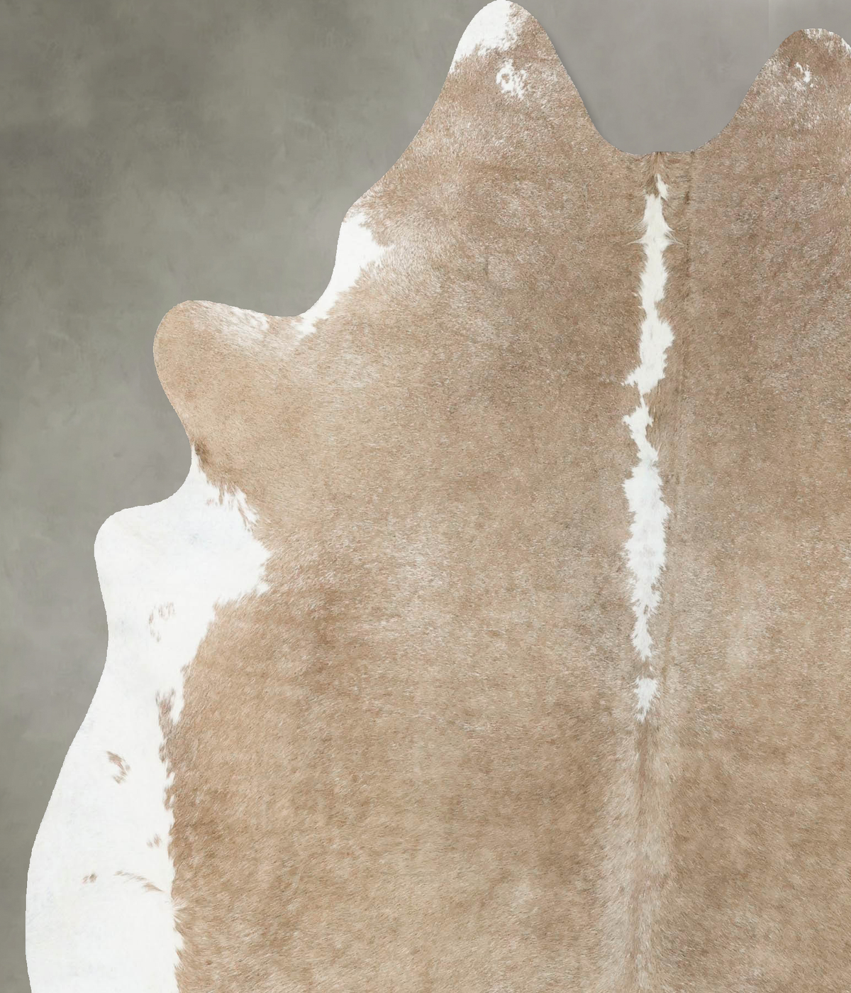 Taupe X-Large Brazilian Cowhide Rug 7'3"H x 6'1"W #B24103 by Hudson Hides