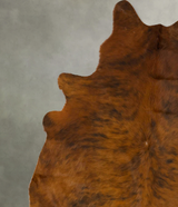 Medium Brindle X-Large Brazilian Cowhide Rug 7'3"H x 6'4"W #B24111 by Hudson Hides