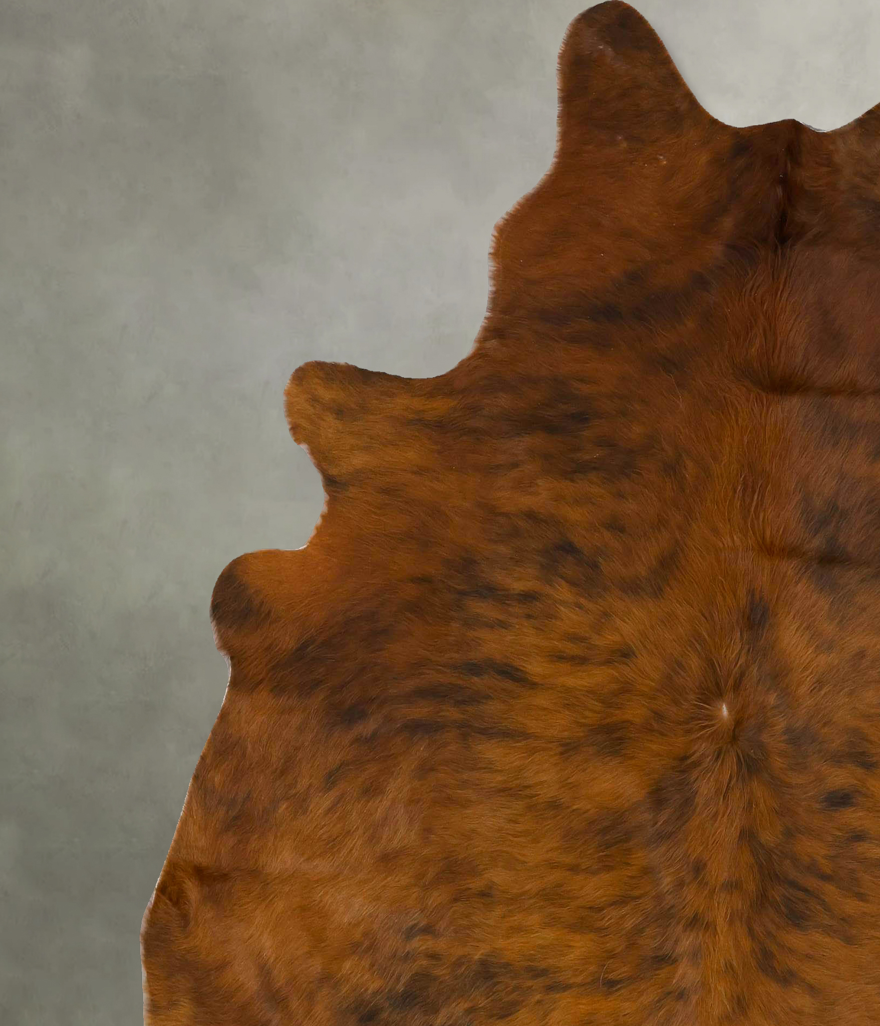 Medium Brindle Cowhide Rug #B24111
