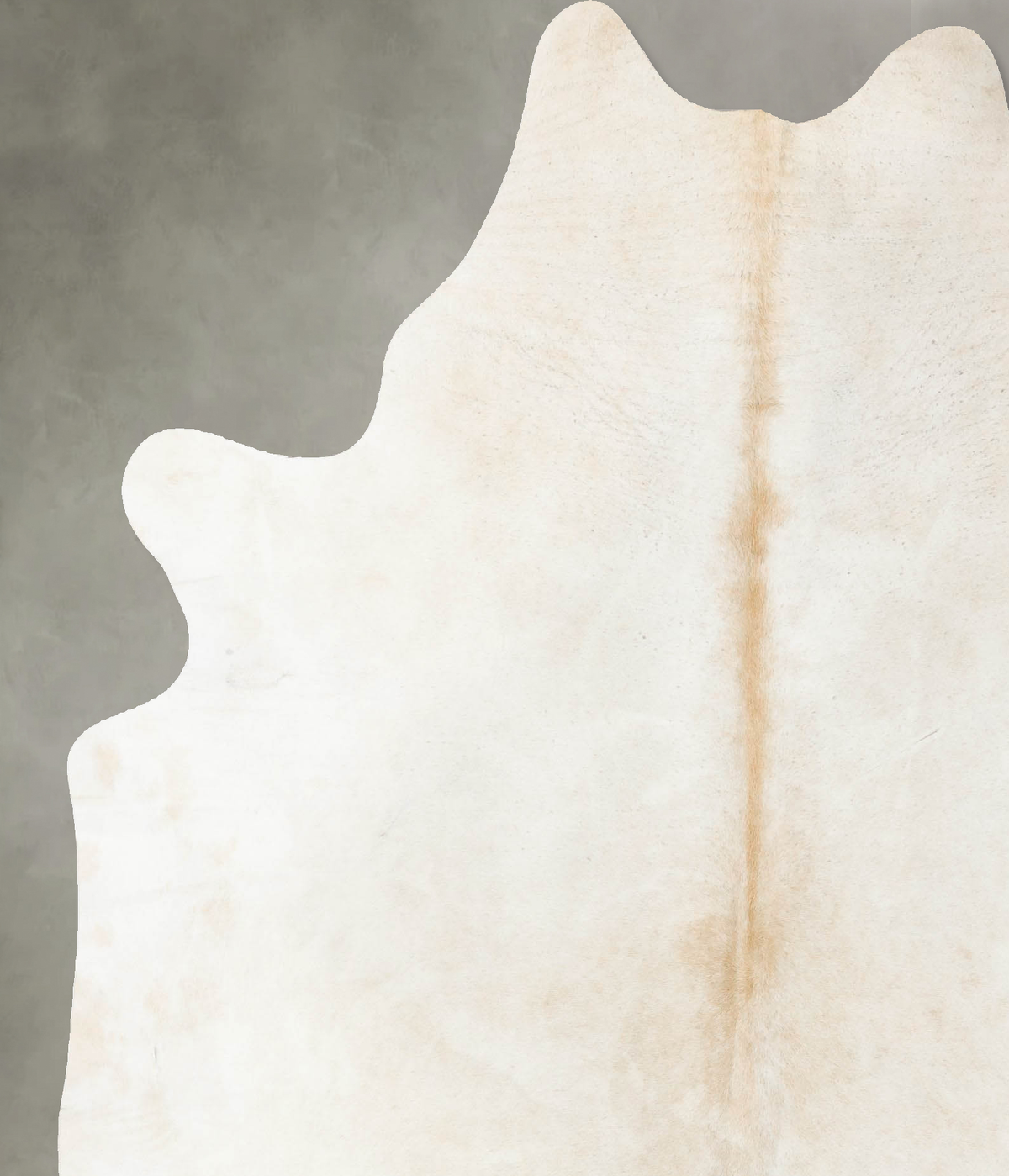 Ivory with Beige X-Large Brazilian Cowhide Rug 7'7"H x 6'3"W #B24116 by Hudson Hides