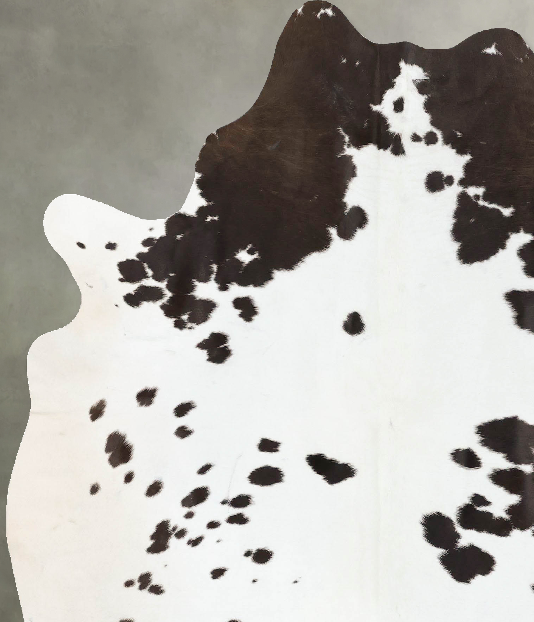Chocolate and White Cowhide Rug #B24117