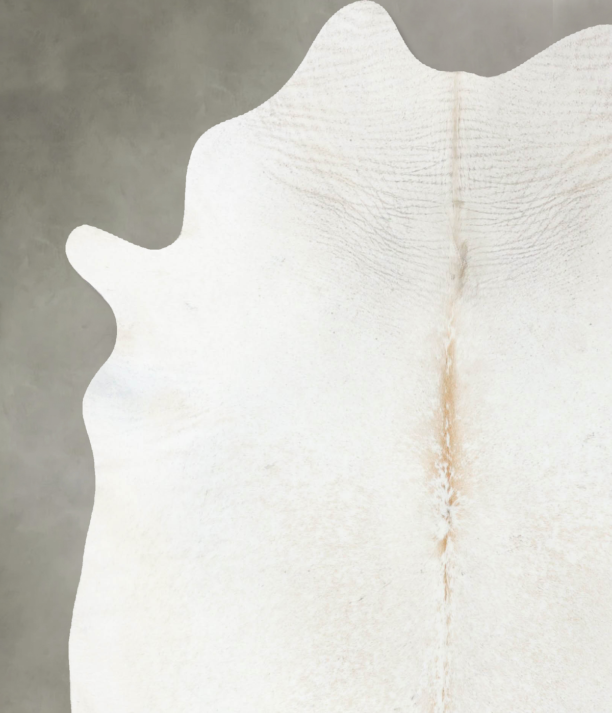 Ivory with Beige Cowhide Rug #B24118