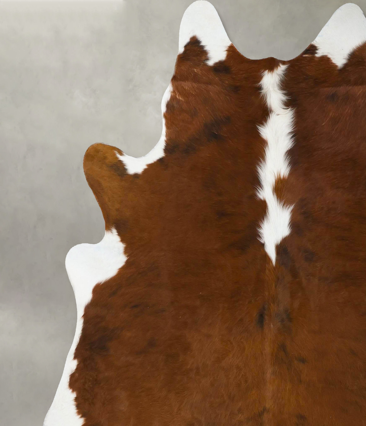 Medium Brindle X-Large Brazilian Cowhide Rug 7'2"H x 6'10"W #B24121 by Hudson Hides