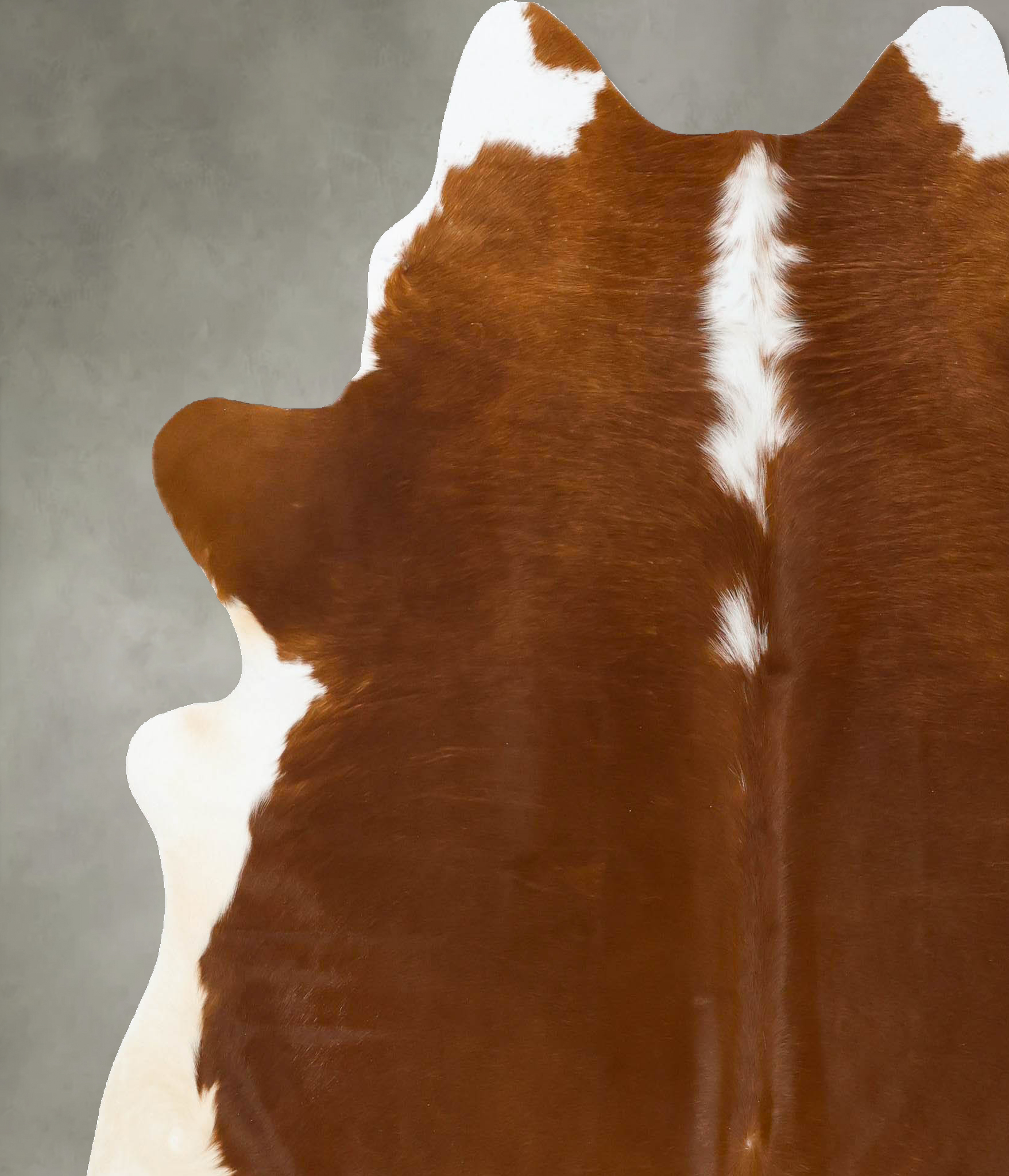 Hereford Cowhide Rug #B24122