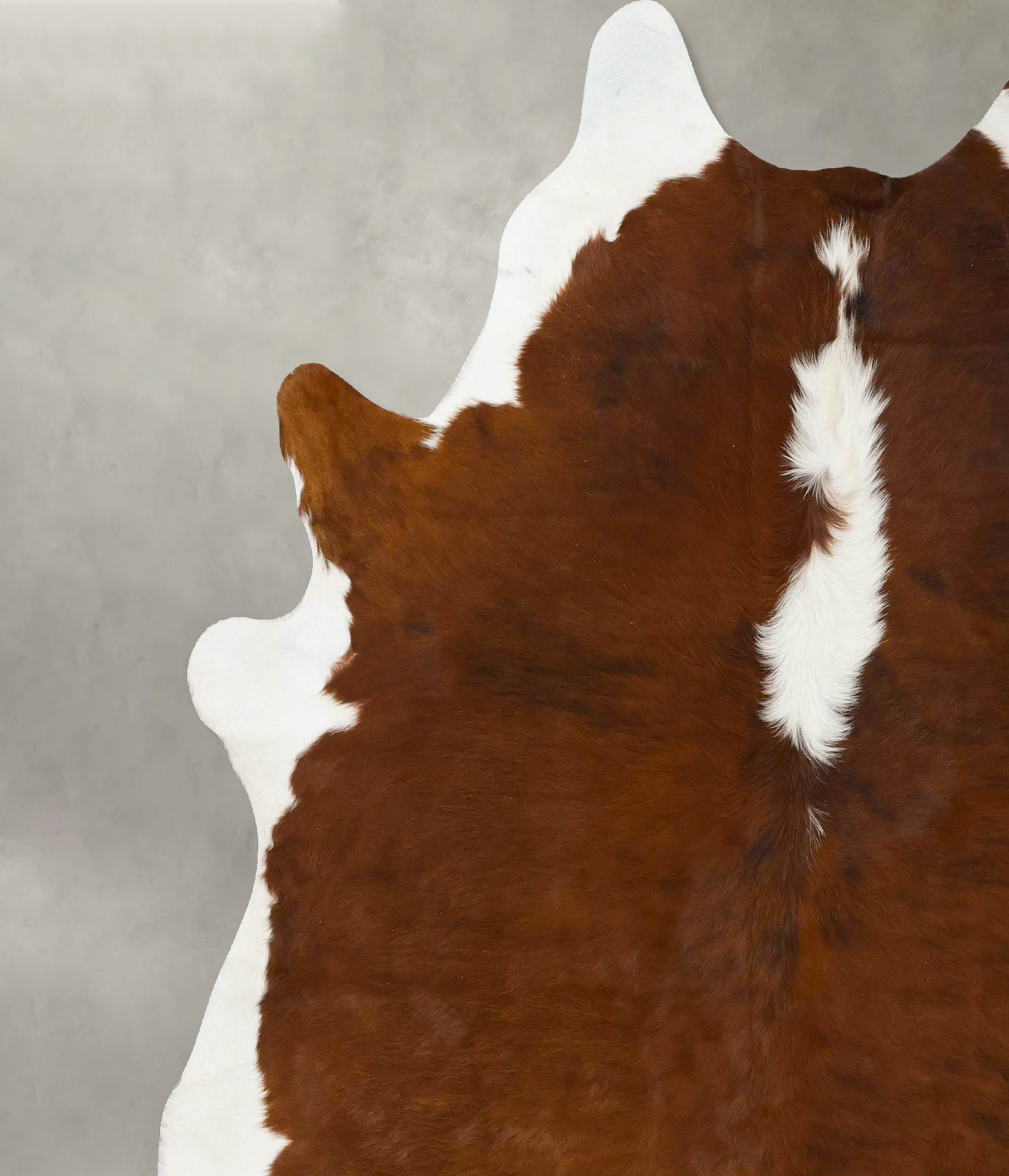 Hereford Cowhide Rug #B24124