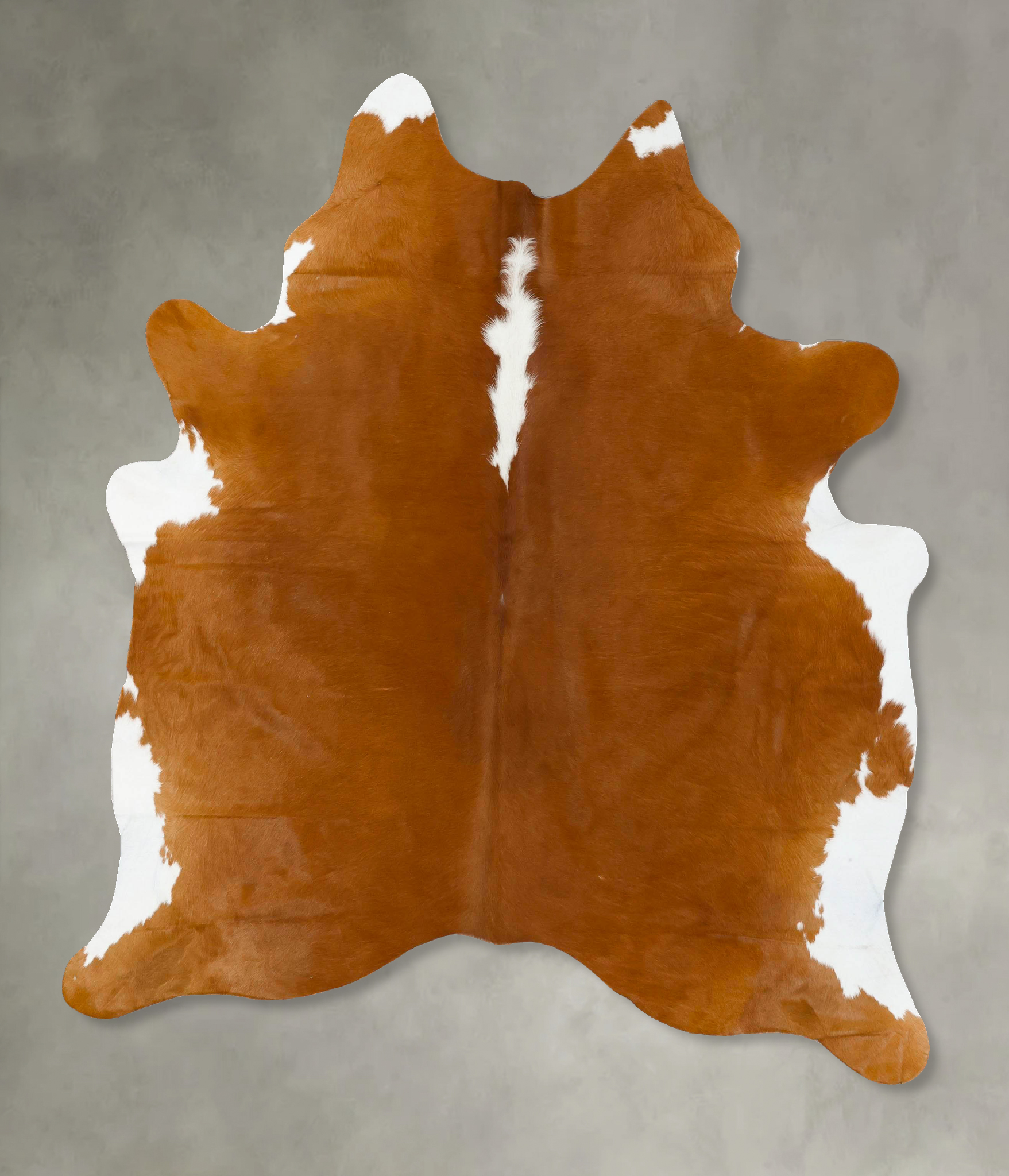 Brown and White Regular Cowhide Rug #B24125
