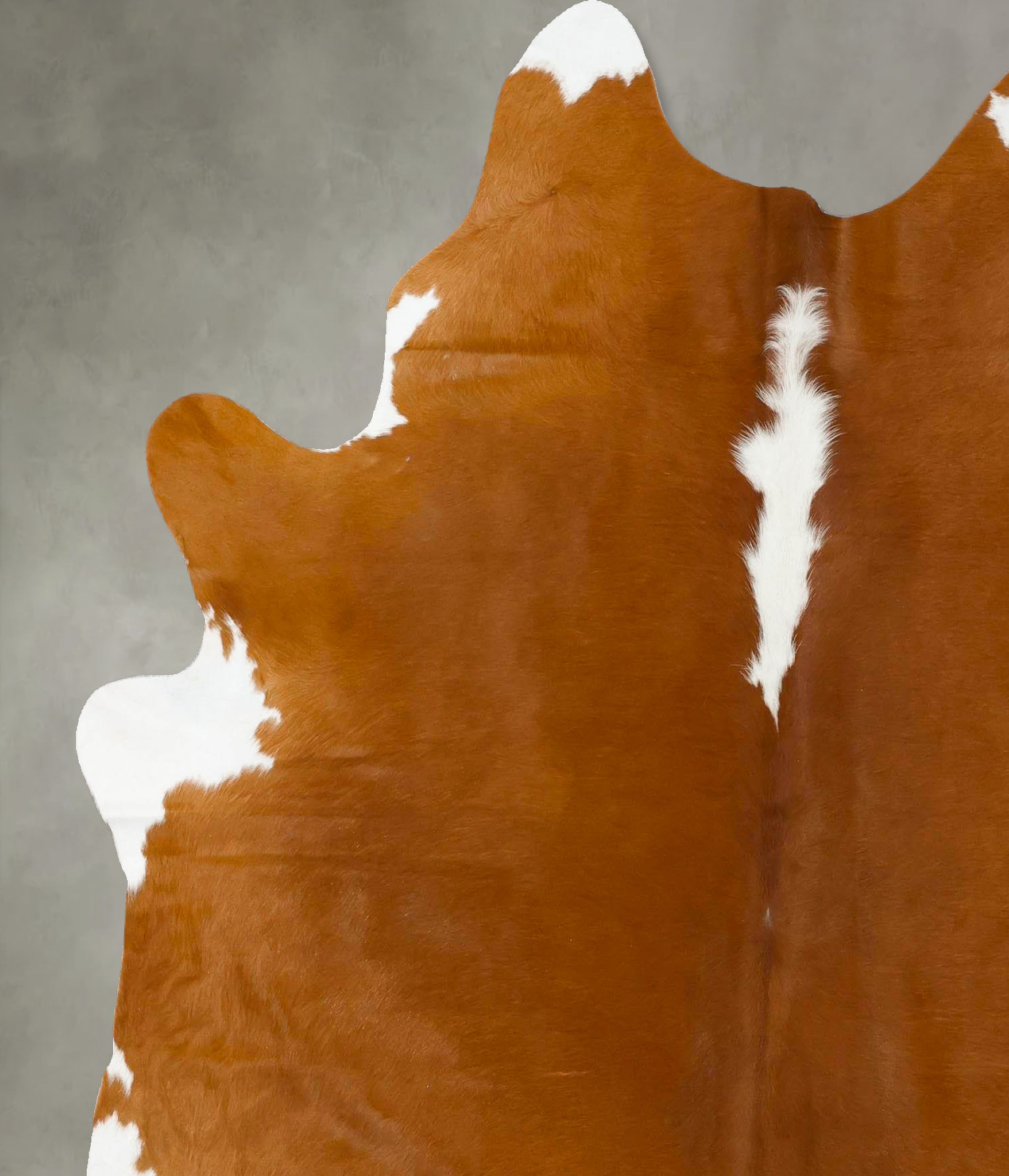 Brown and White Regular Cowhide Rug #B24125