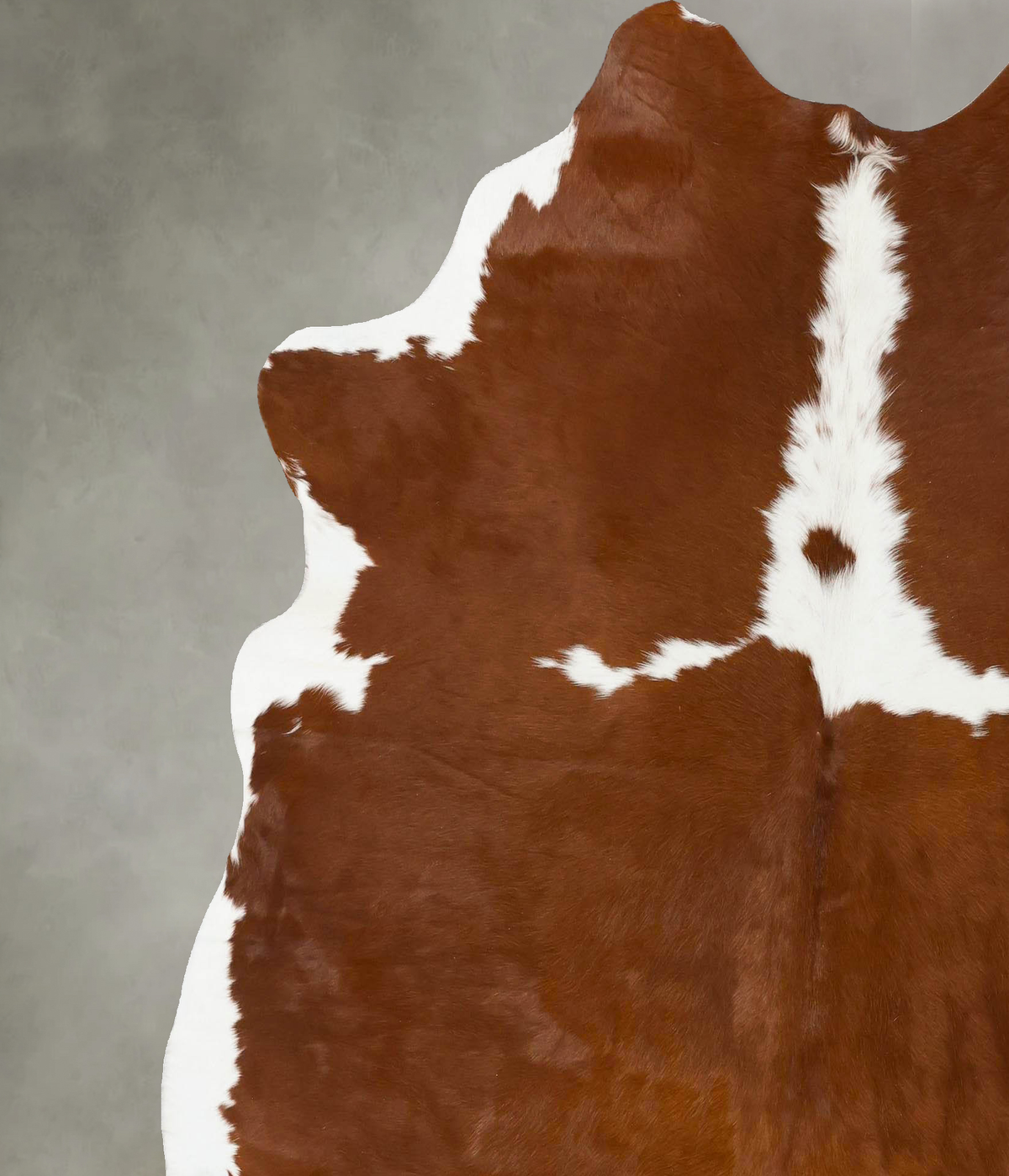 Brown and White X-Large Brazilian Cowhide Rug 7'0"H x 6'6"W #B24135 by Hudson Hides