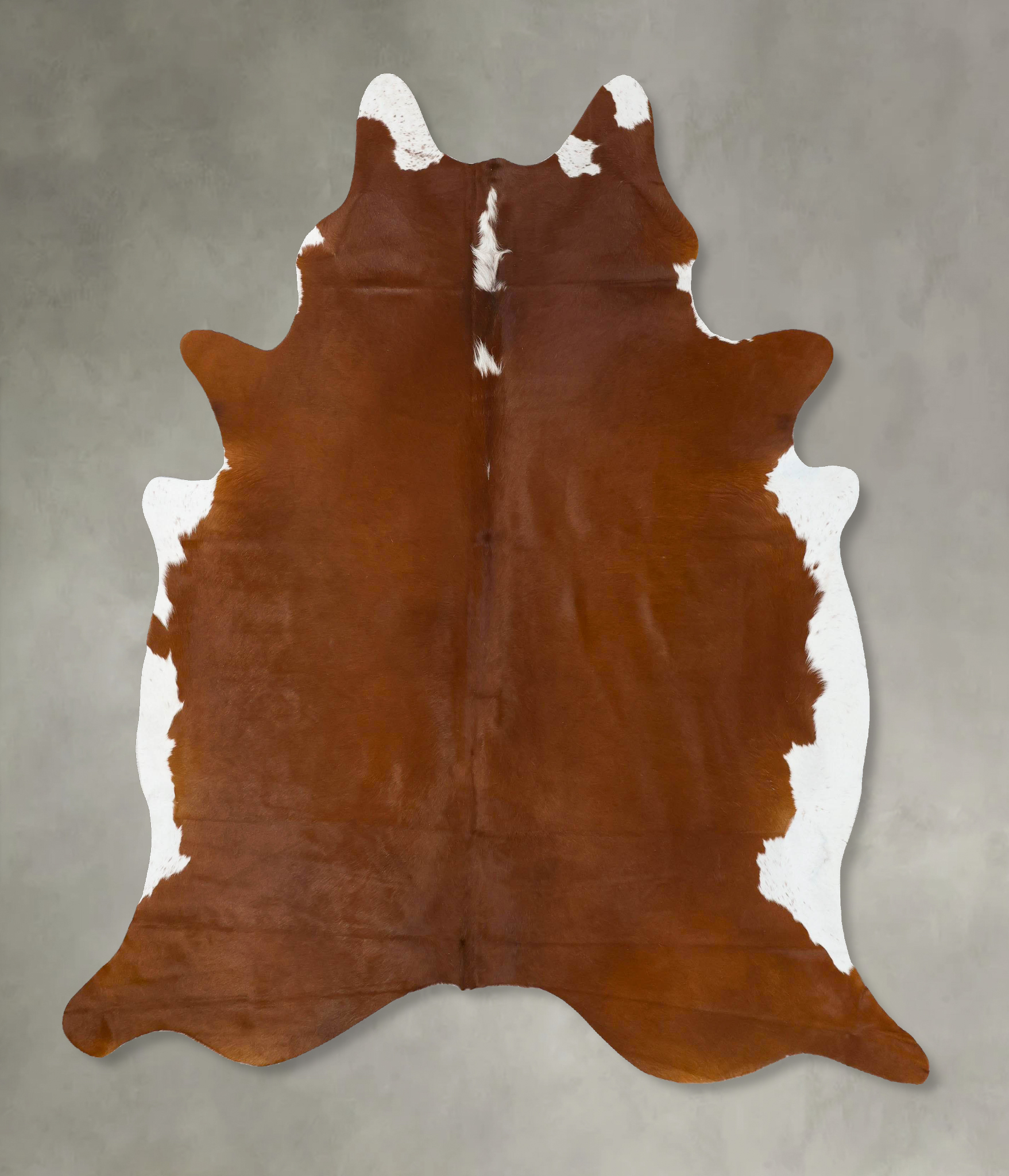 Brown and White Regular Cowhide Rug #B24141