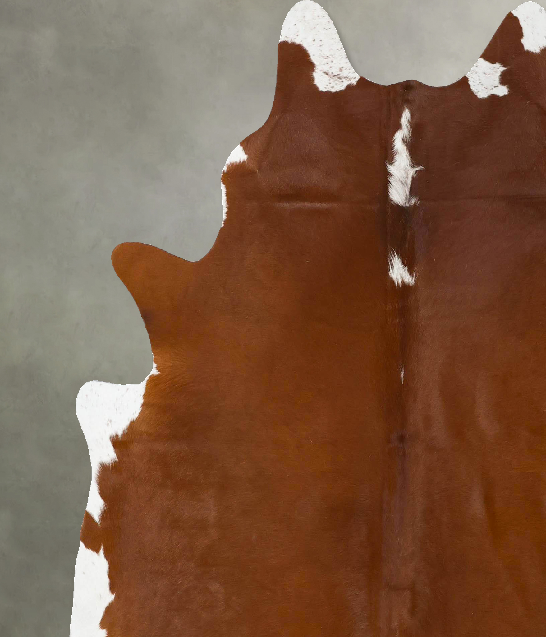 Brown and White Regular Cowhide Rug #B24141