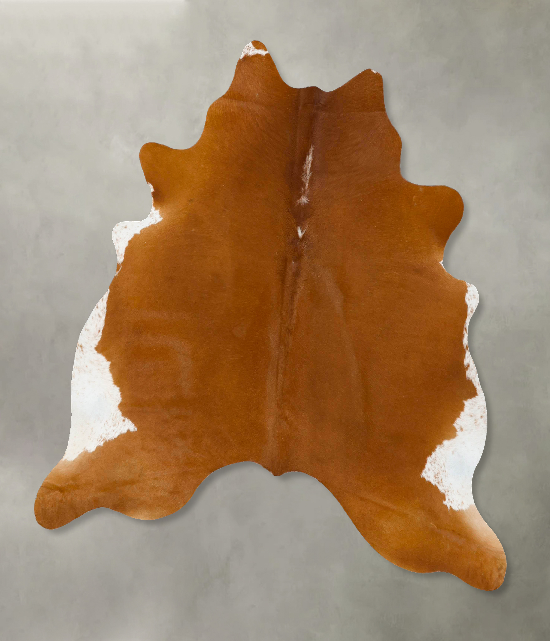 Brown and White Regular Cowhide Rug #B24143