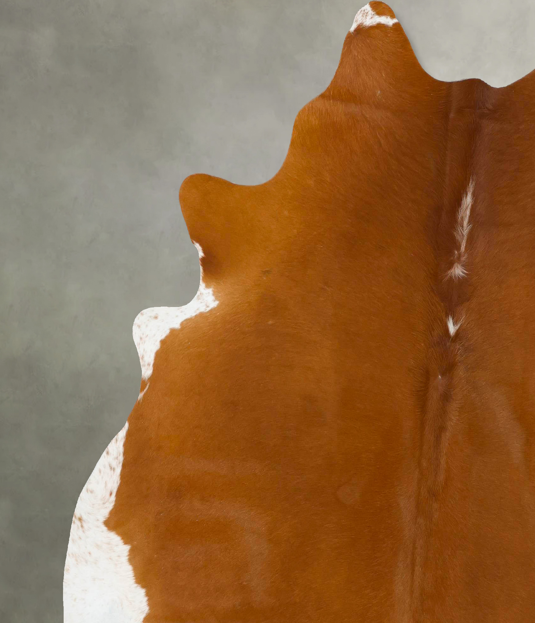 Brown and White Regular Cowhide Rug #B24143