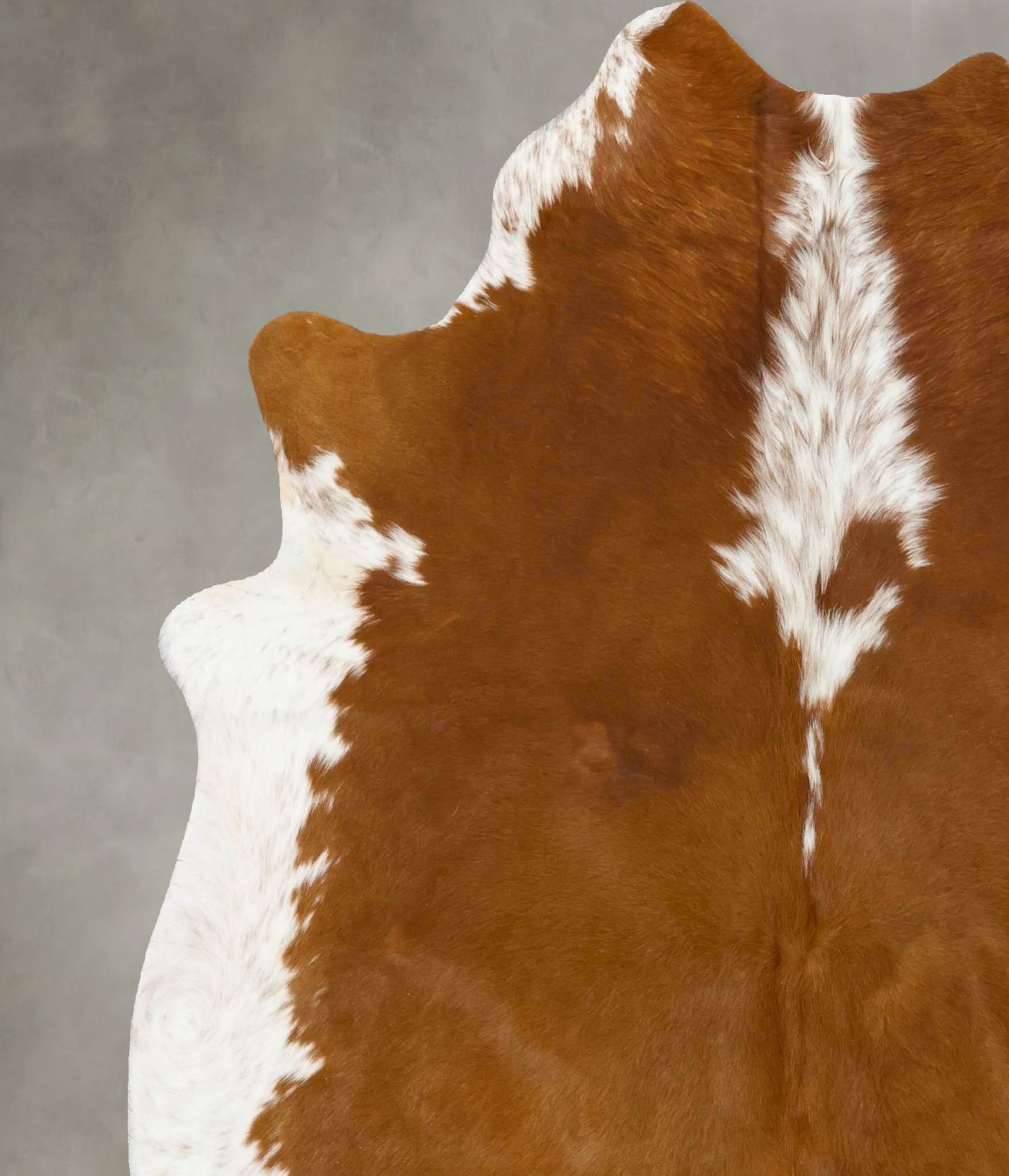 Brown and White Regular Cowhide Rug #B24146