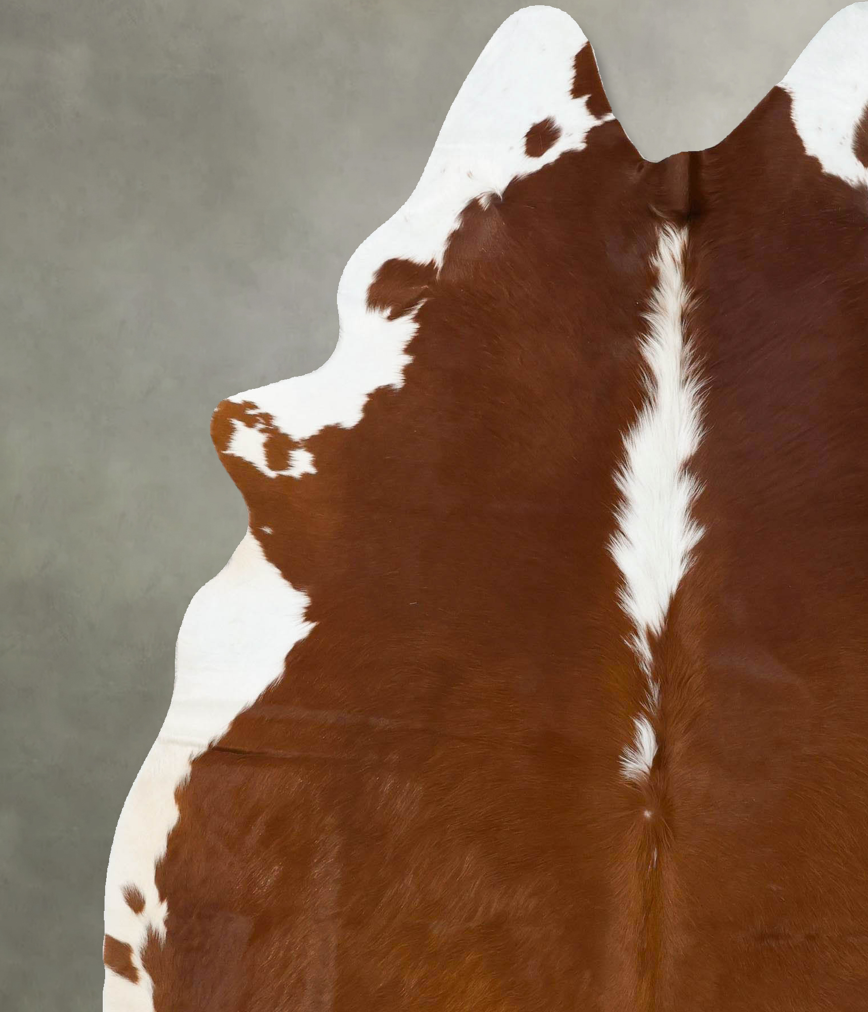 Hereford Cowhide Rug #B24150