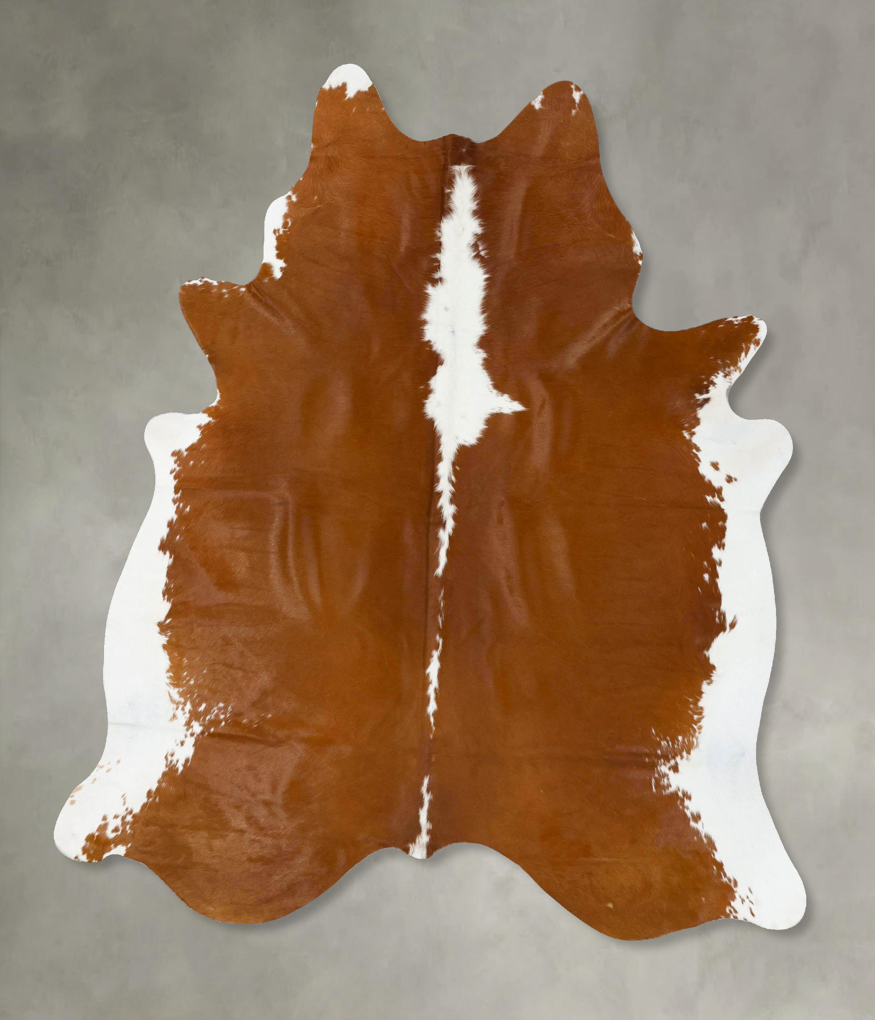 Brown and White Regular Cowhide Rug #B24155