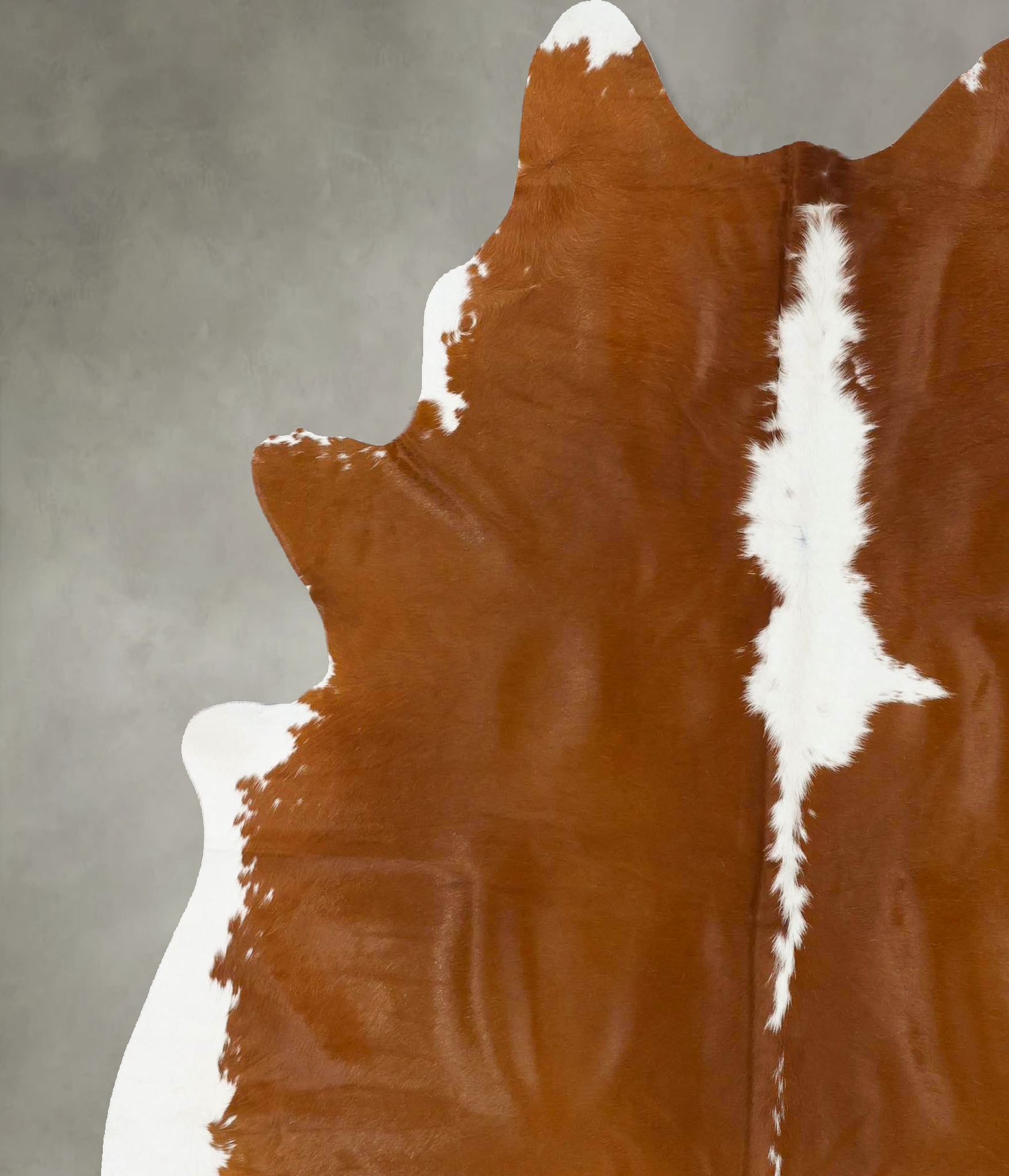 Brown and White Regular Cowhide Rug #B24155