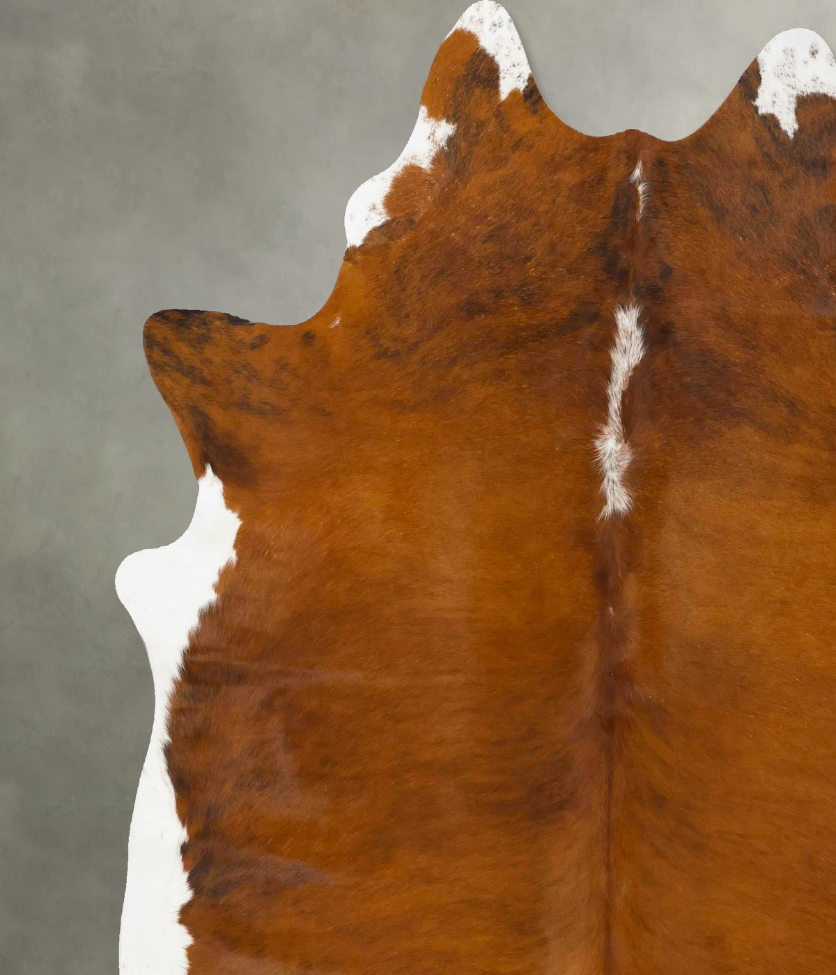 Medium Brindle X-Large Brazilian Cowhide Rug 7'5"H x 6'8"W #B24159 by Hudson Hides