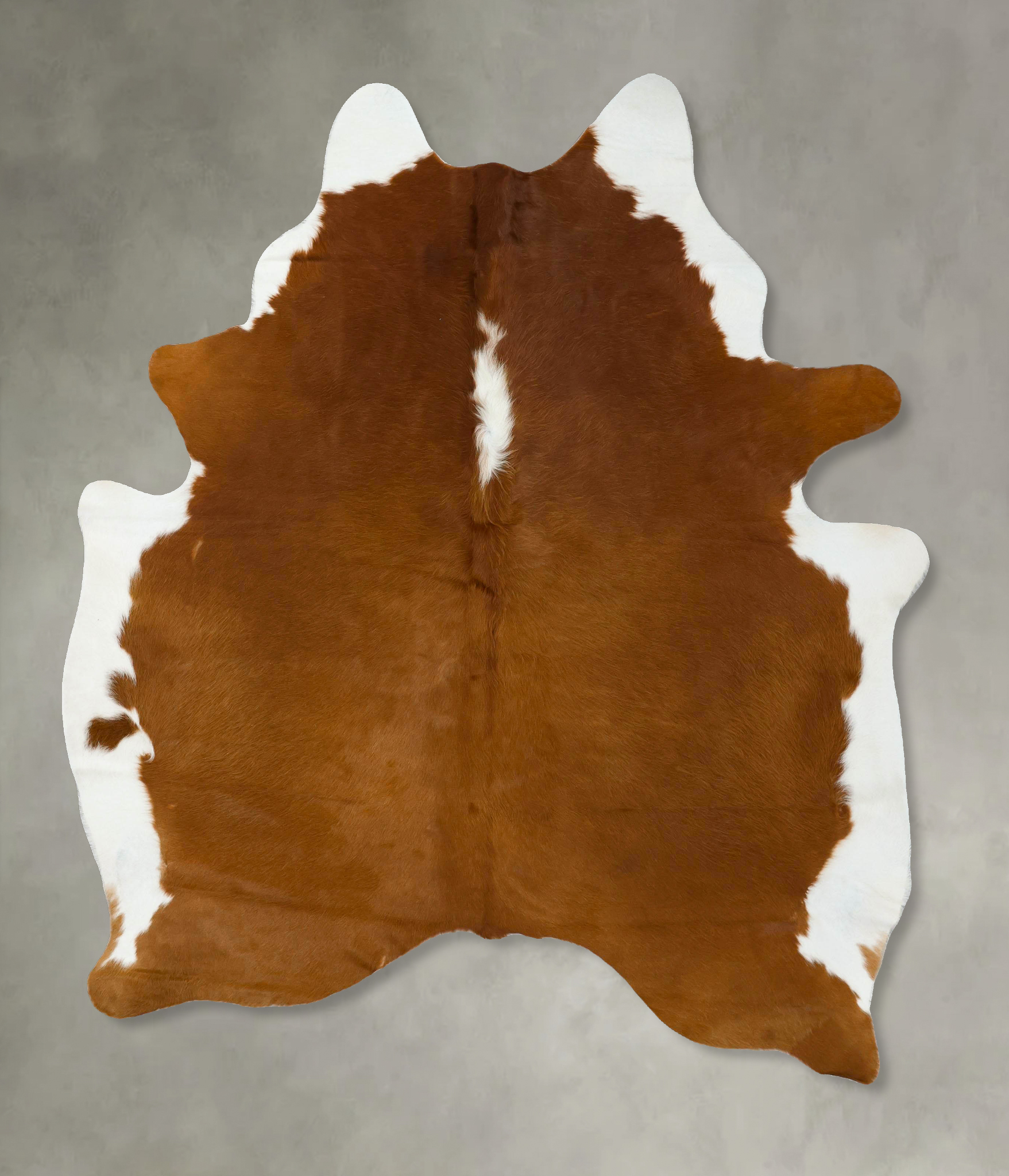 Brown and White Regular Cowhide Rug #B24166