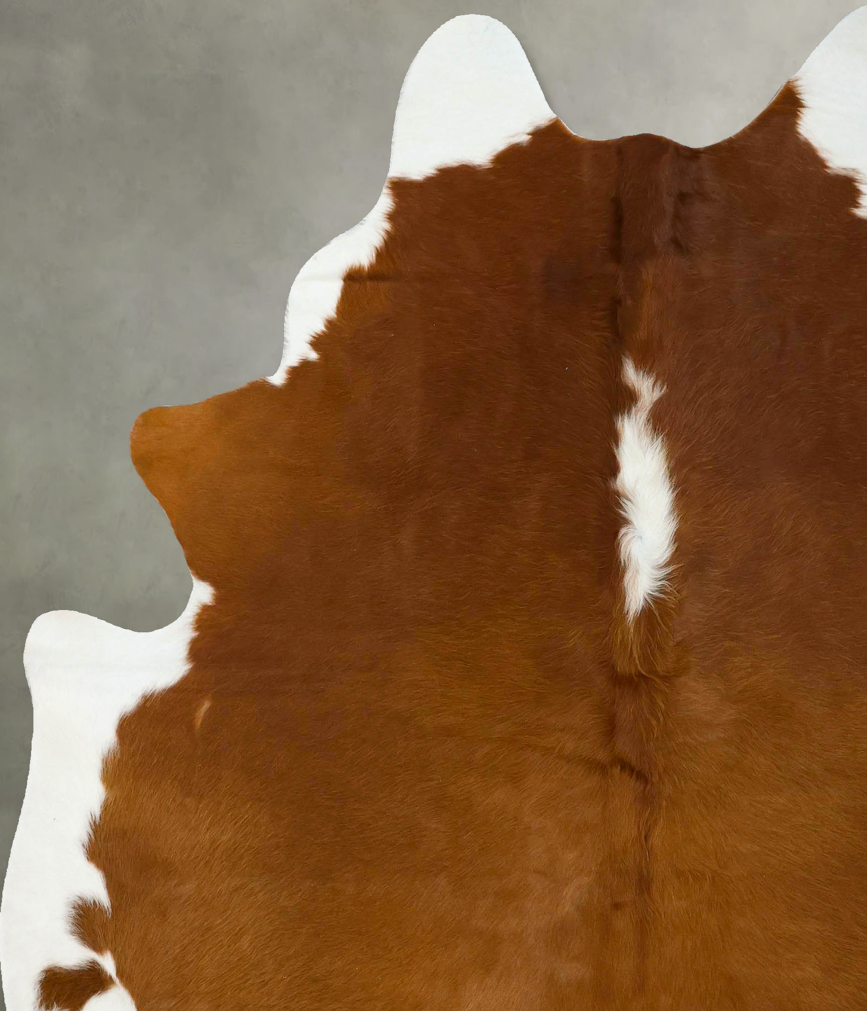 Brown and White Regular Cowhide Rug #B24166
