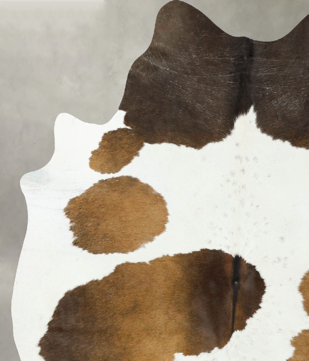Chocolate and White Large Brazilian Cowhide Rug 6'5"H x 5'4"W #B24168 by Hudson Hides