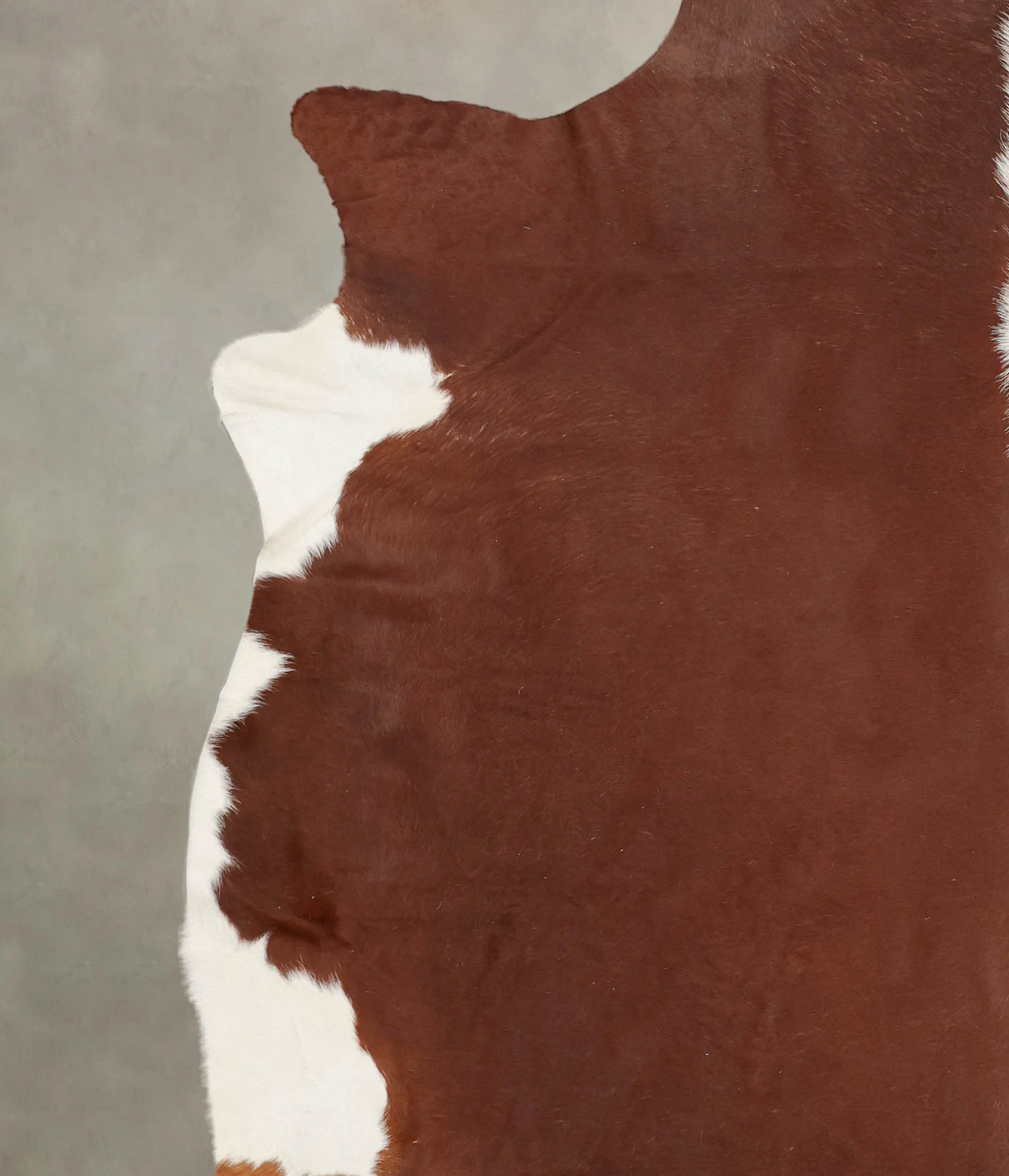 Hereford Cowhide Rug #B2417