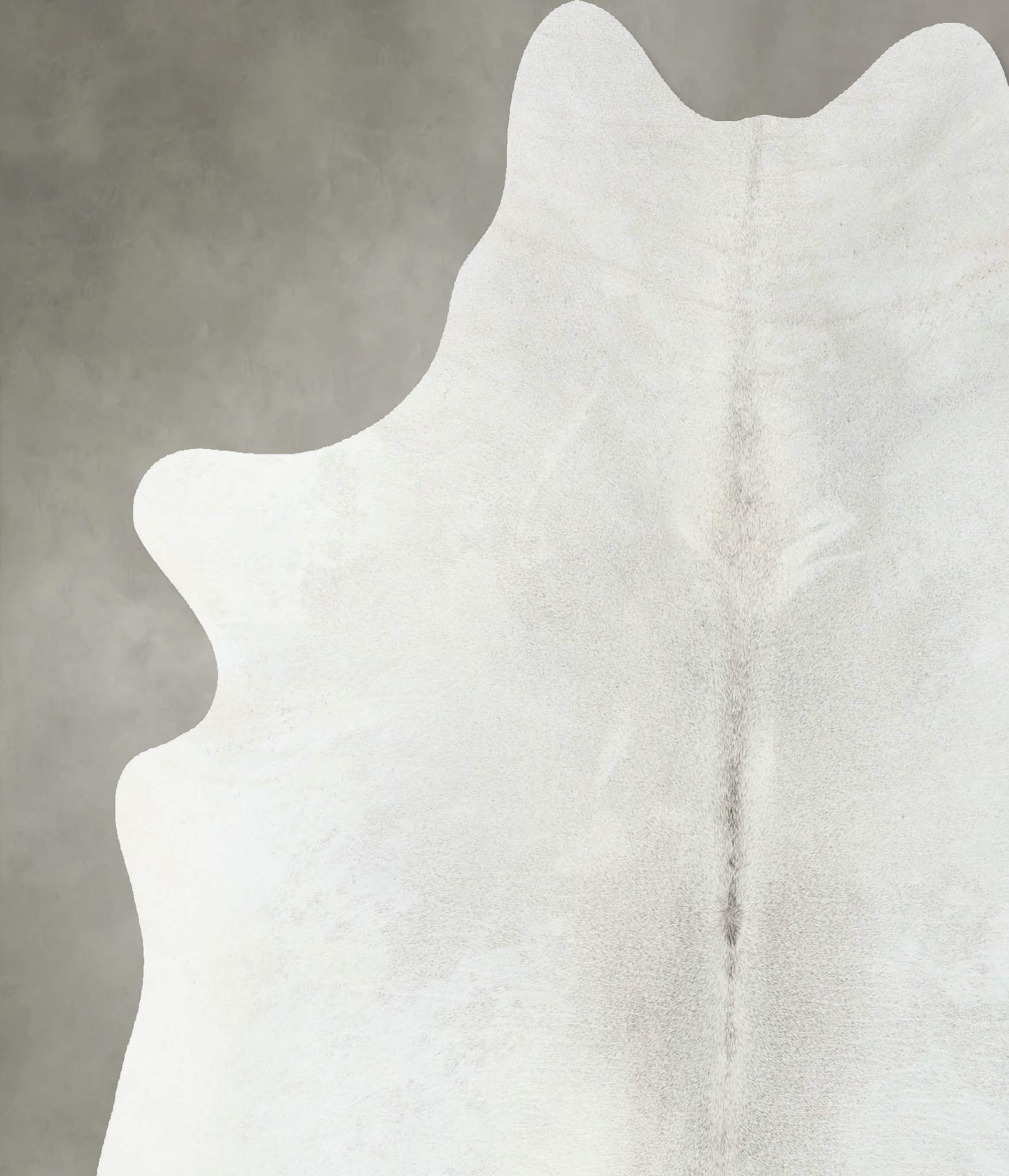 Light Grey Cowhide Rug #B24170