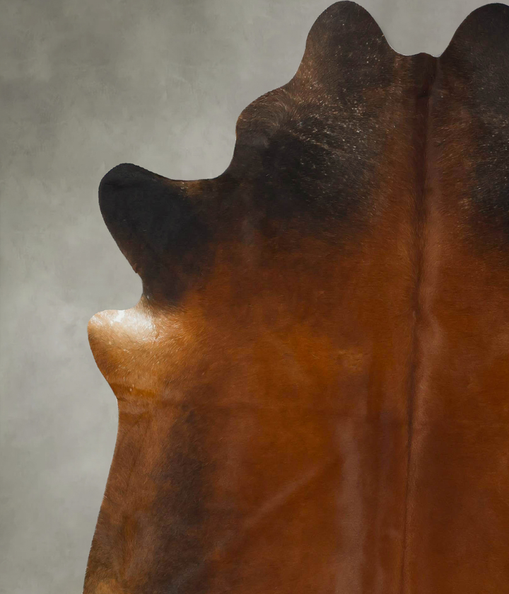 Warm Caramel X-Large Brazilian Cowhide Rug 7'1"H x 6'4"W #B24171 by Hudson Hides