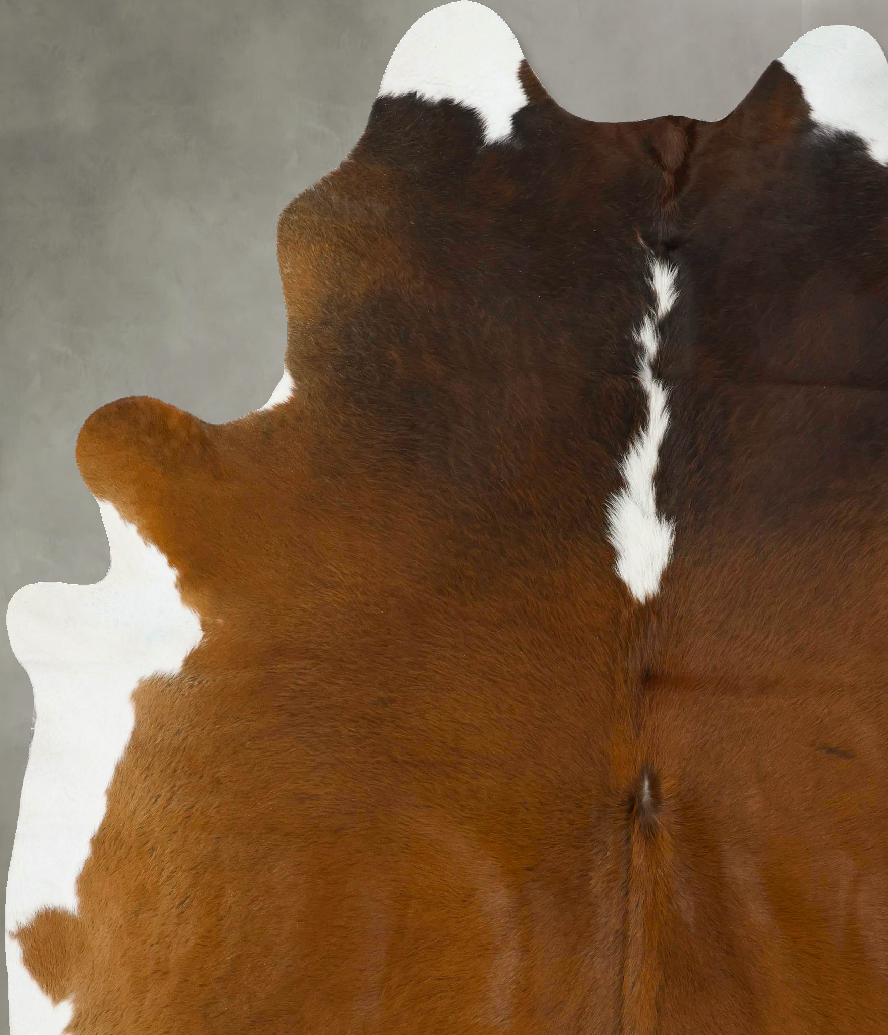 Chocolate and White Cowhide Rug #B24215