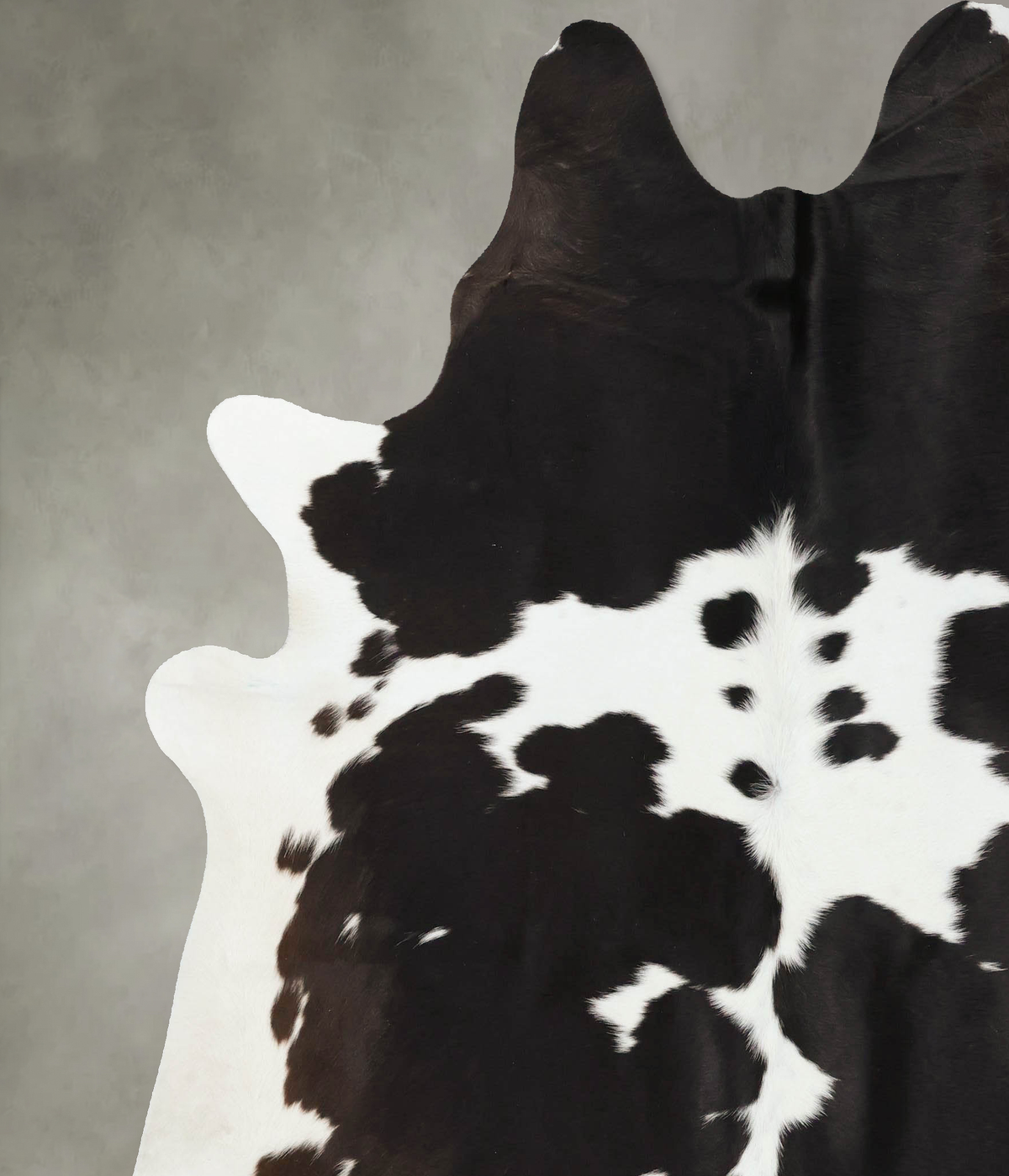 Chocolate and White Cowhide Rug #B24217