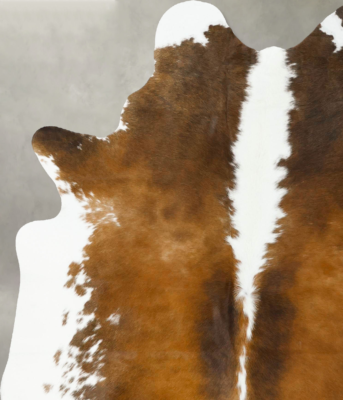 Chocolate and White X-Large Brazilian Cowhide Rug 7'5"H x 5'10"W #B24222 by Hudson Hides