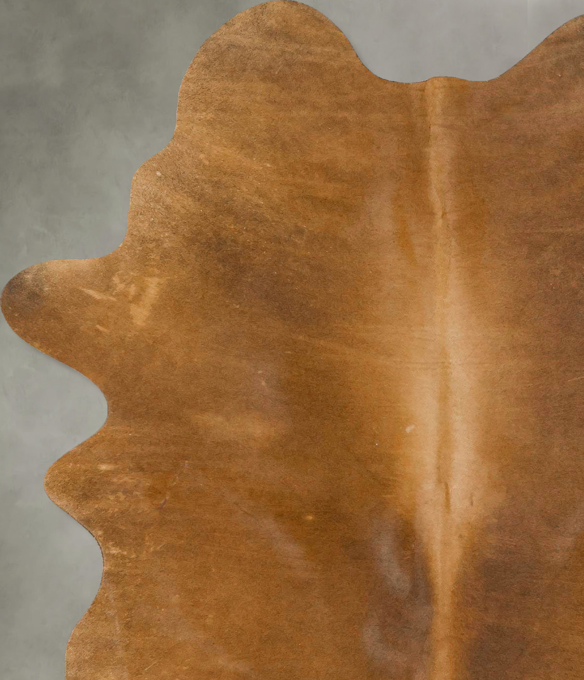 Solid Brown Large Brazilian Cowhide Rug 7'8"H x 4'8"W #B24232 by Hudson Hides