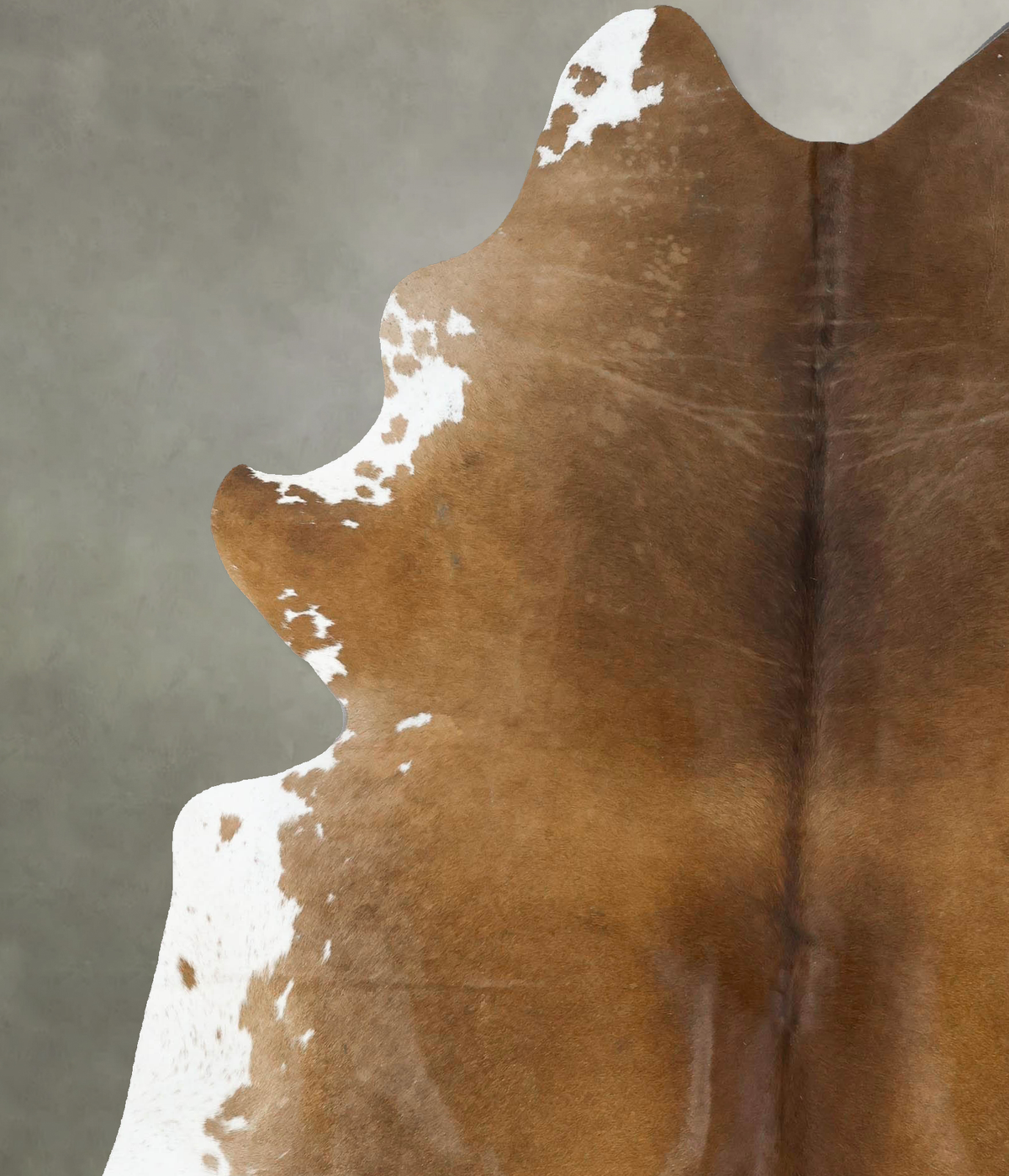 Chocolate and White Cowhide Rug #B24240